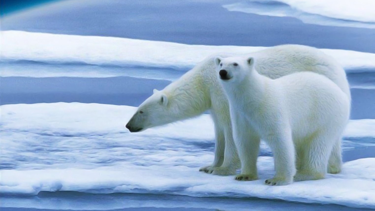 Backdrop for Planet Earth: The Future