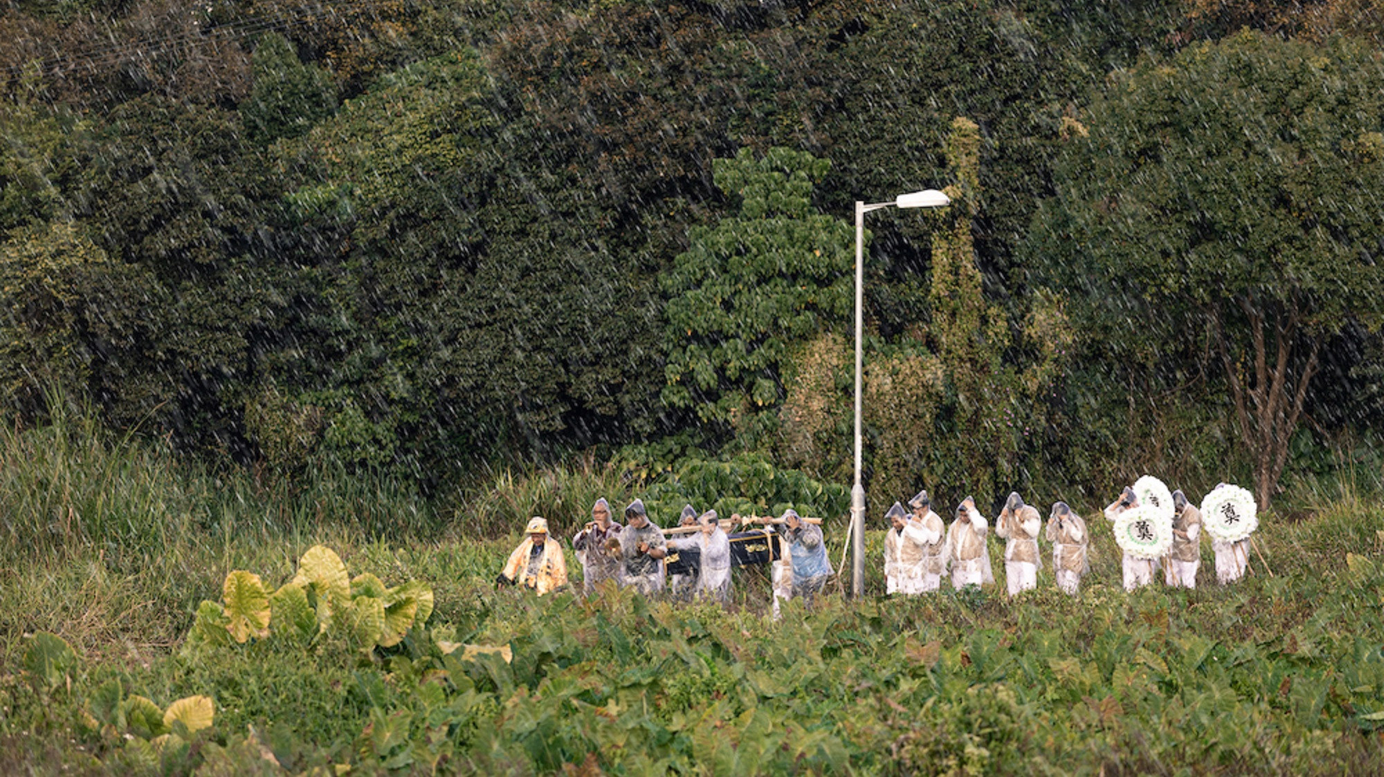Backdrop for Walk with the Storm