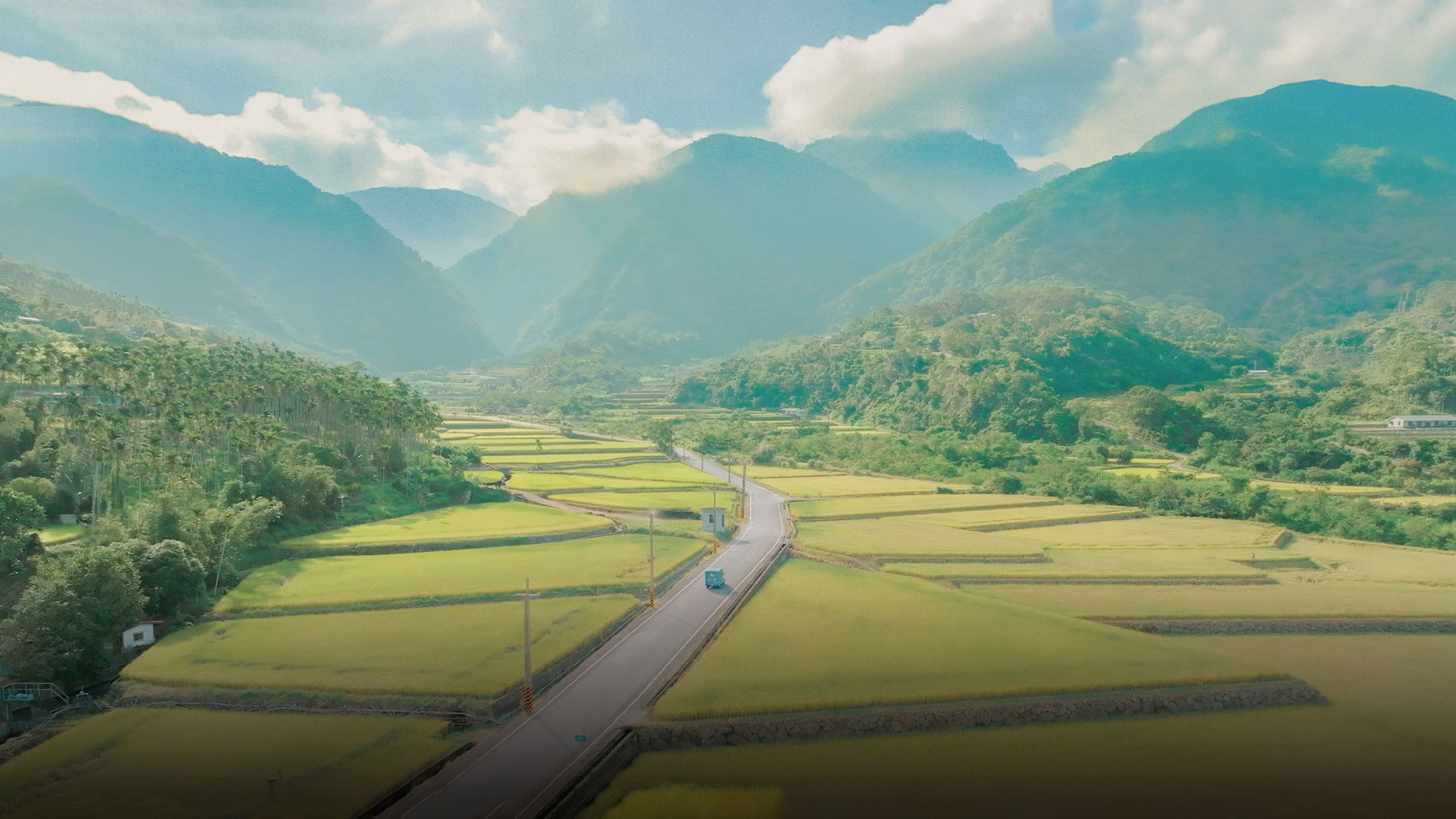 Backdrop for When the Stars Shine Hope Reading