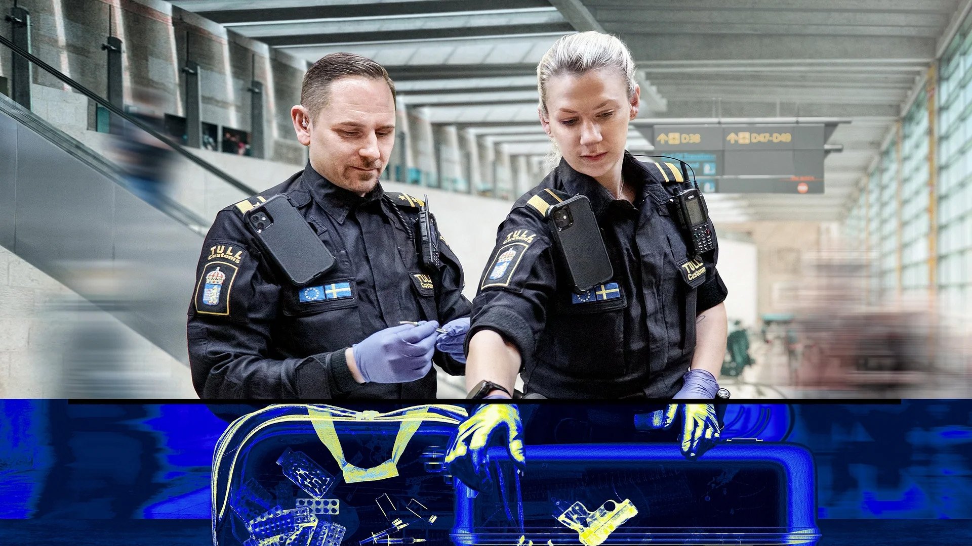 Backdrop for Border Control: Sweden