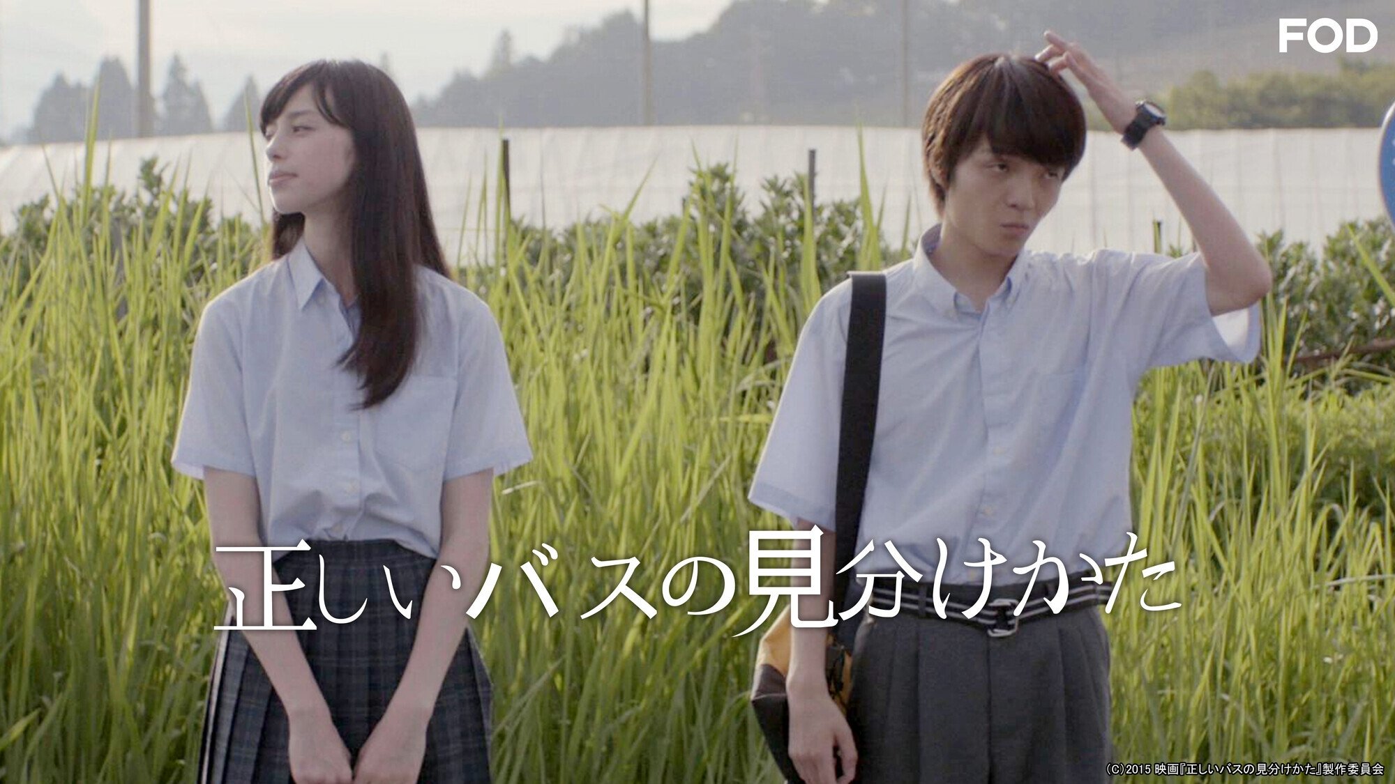 Backdrop for How To Identify The Right Bus