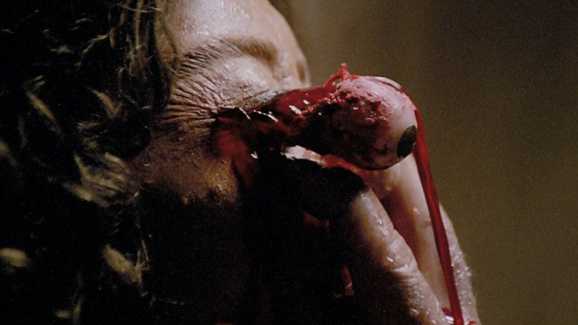 Backdrop for The Beyond