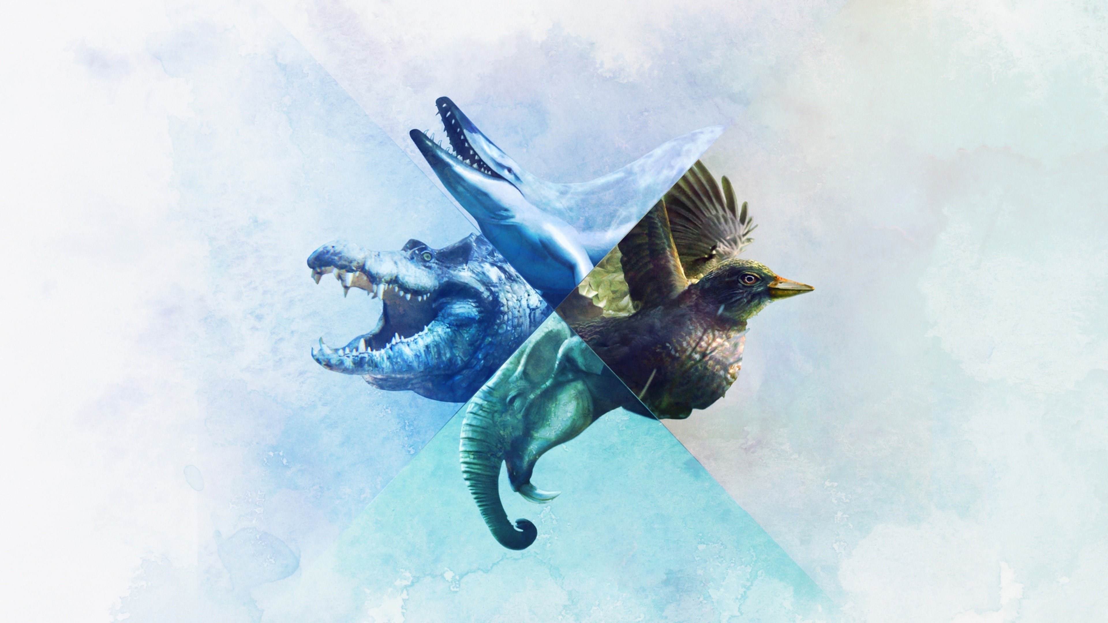 Backdrop for When Whales Walked: Journeys in Deep Time