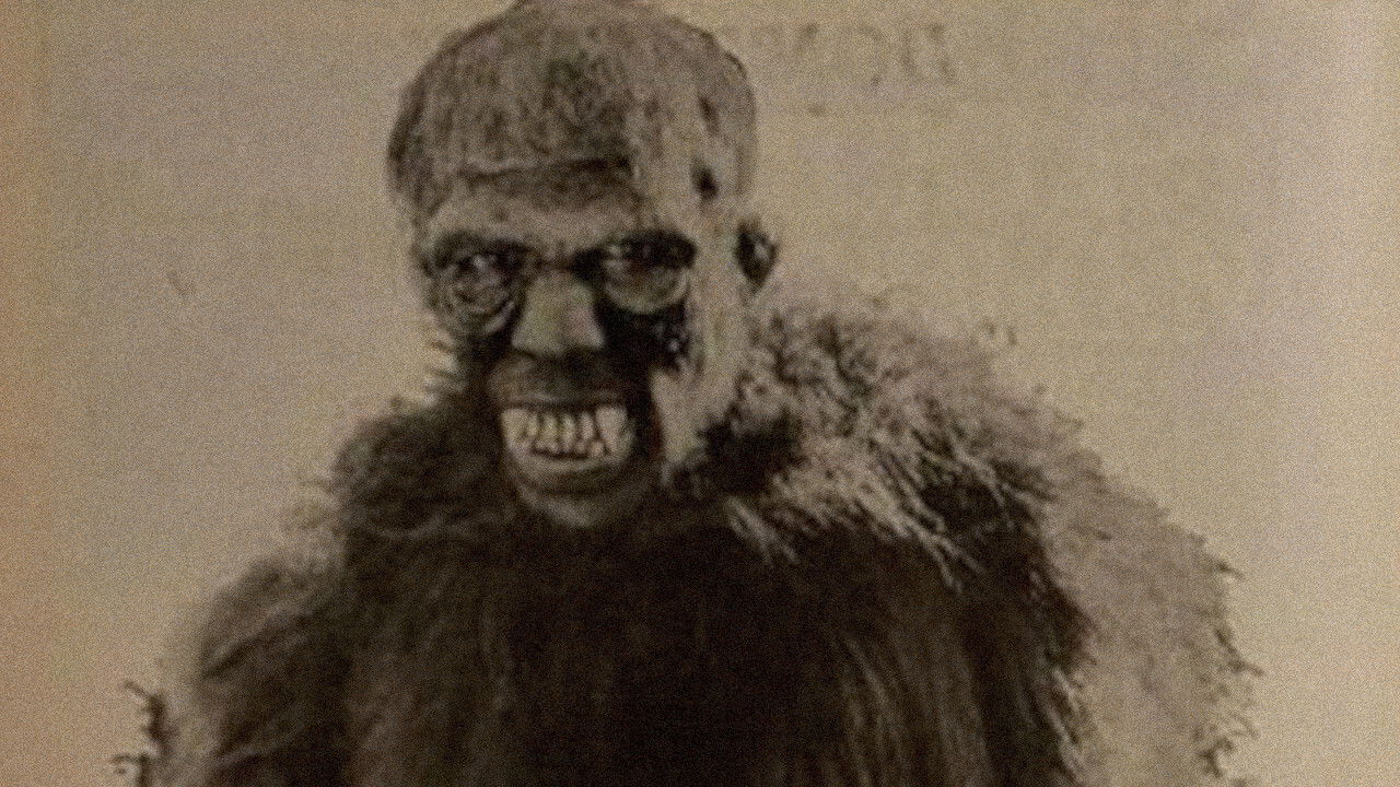 Backdrop for Go and Get It