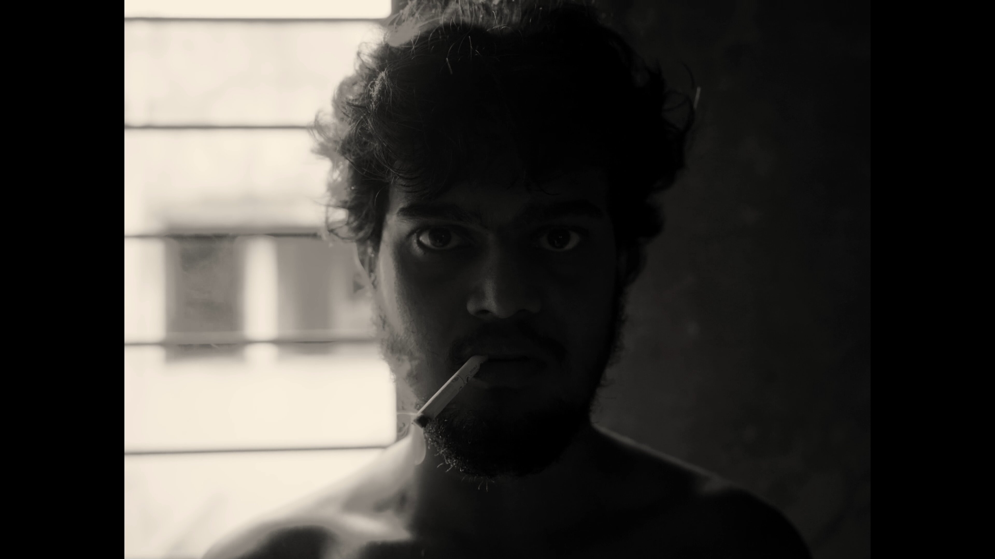 Backdrop for A Fly Floating In The Midst Of The Milk