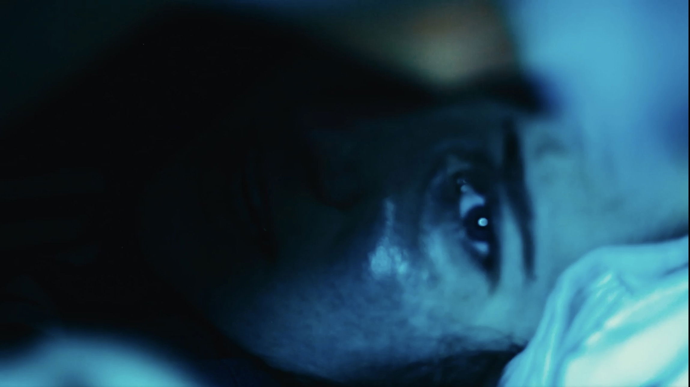 Backdrop for das-y'a huearta