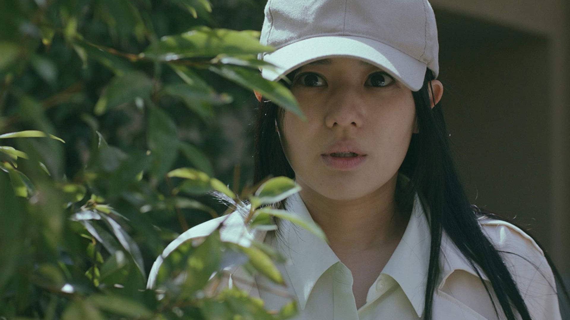 Backdrop for Fugitive Flower