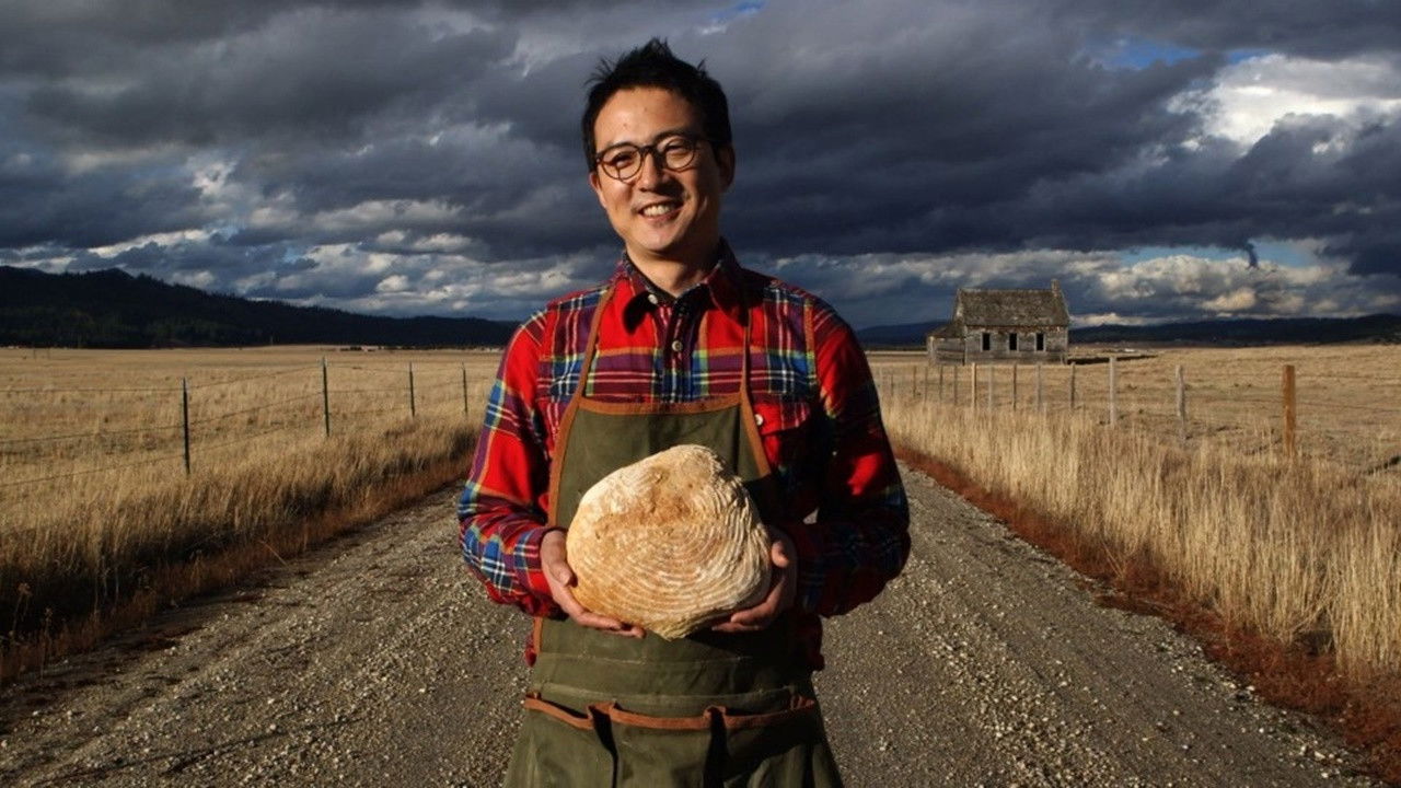 Backdrop for Food Chronicle