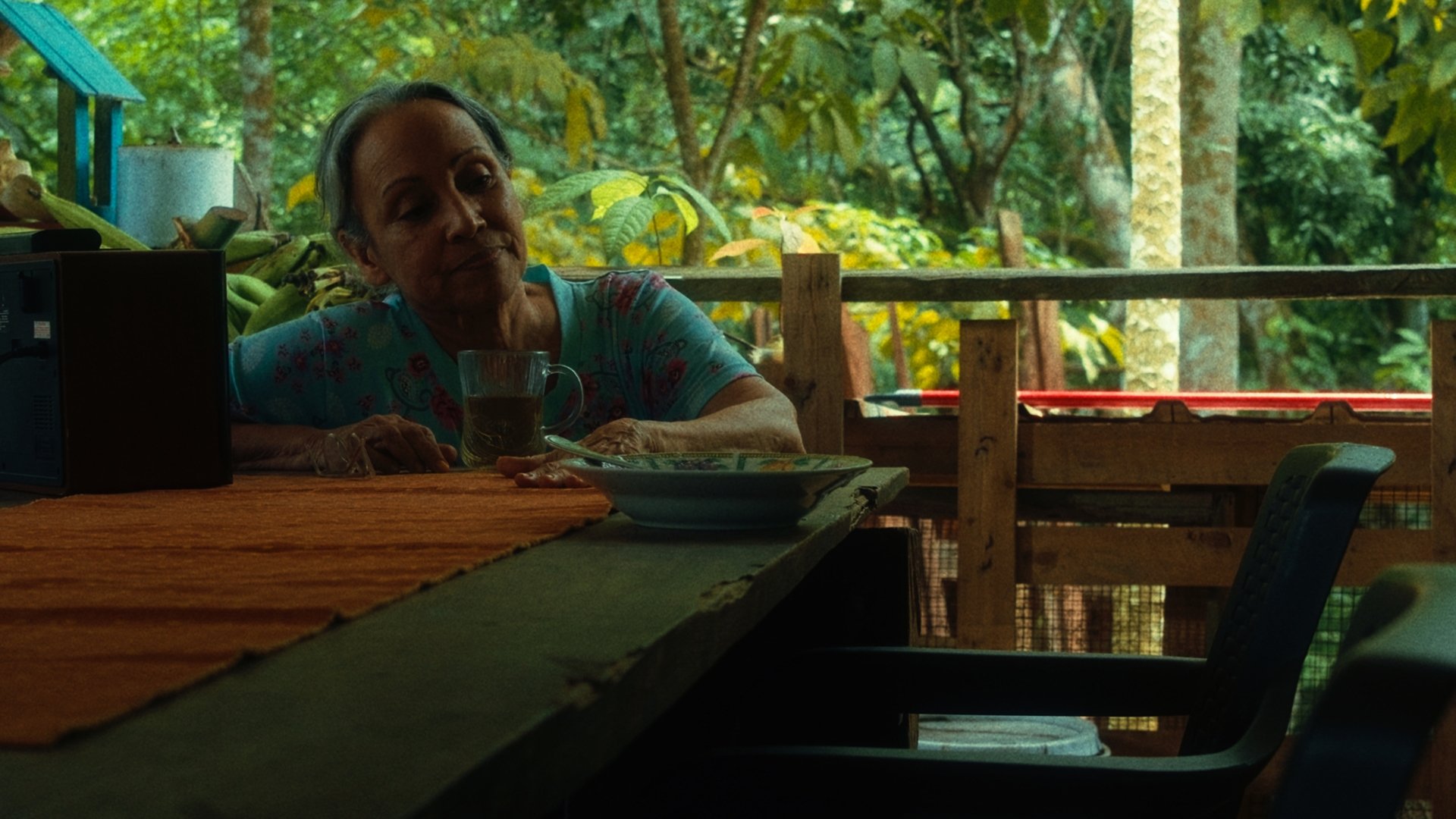 Backdrop for Como Cantan Las Aves