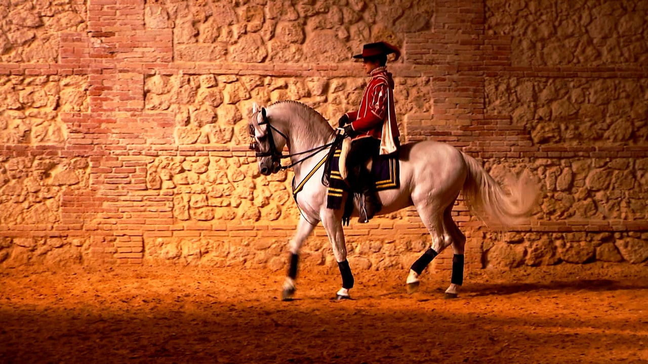 Backdrop for Horse of Kings, Thief of Hearts