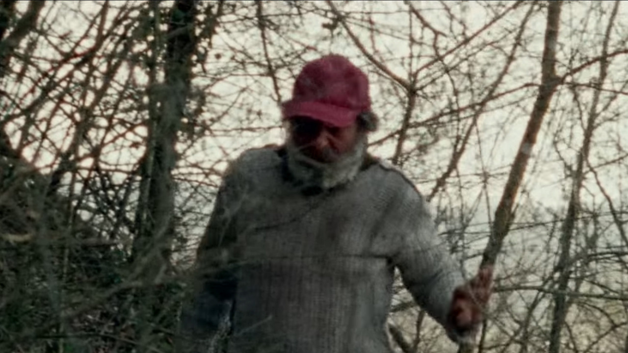 Backdrop for Il solengo