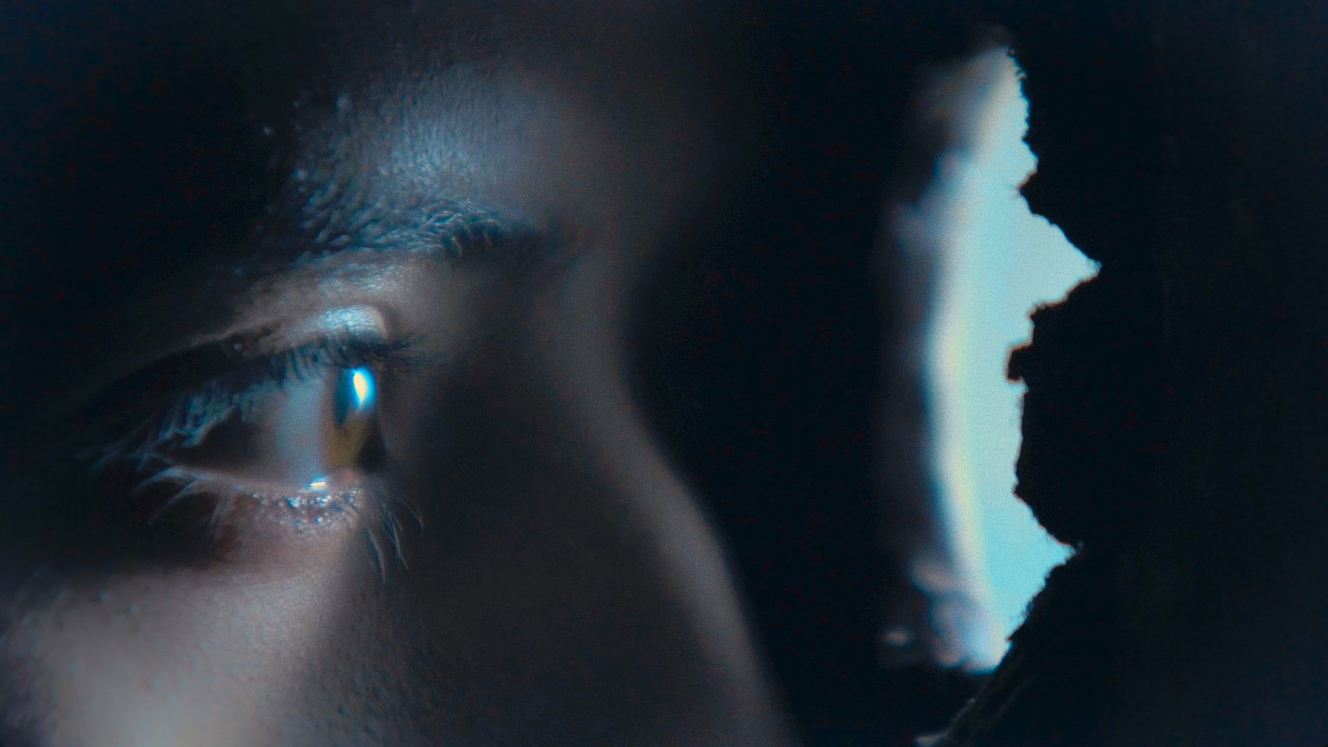 Backdrop for Lactasa