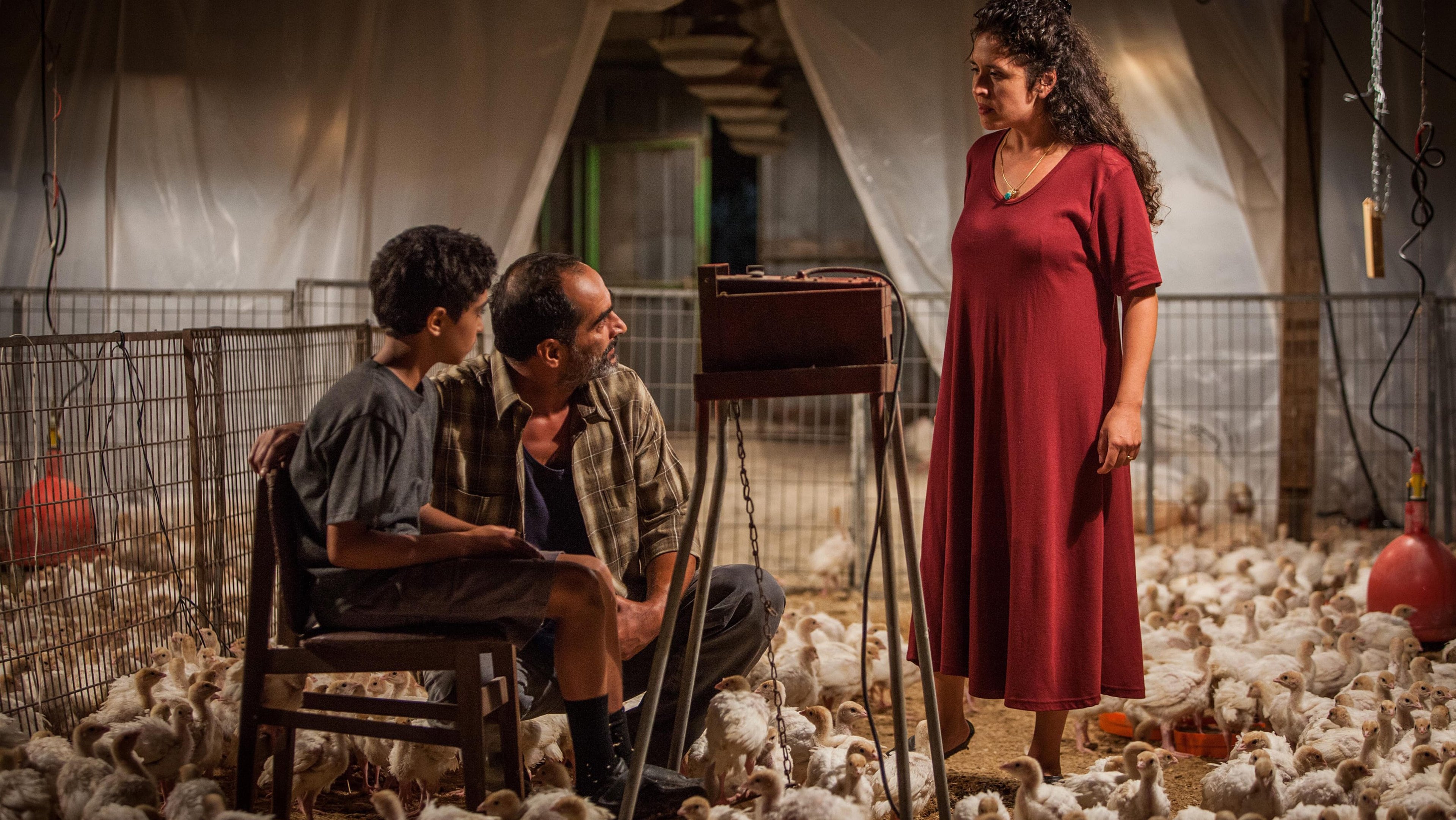 Backdrop for Baba Joon