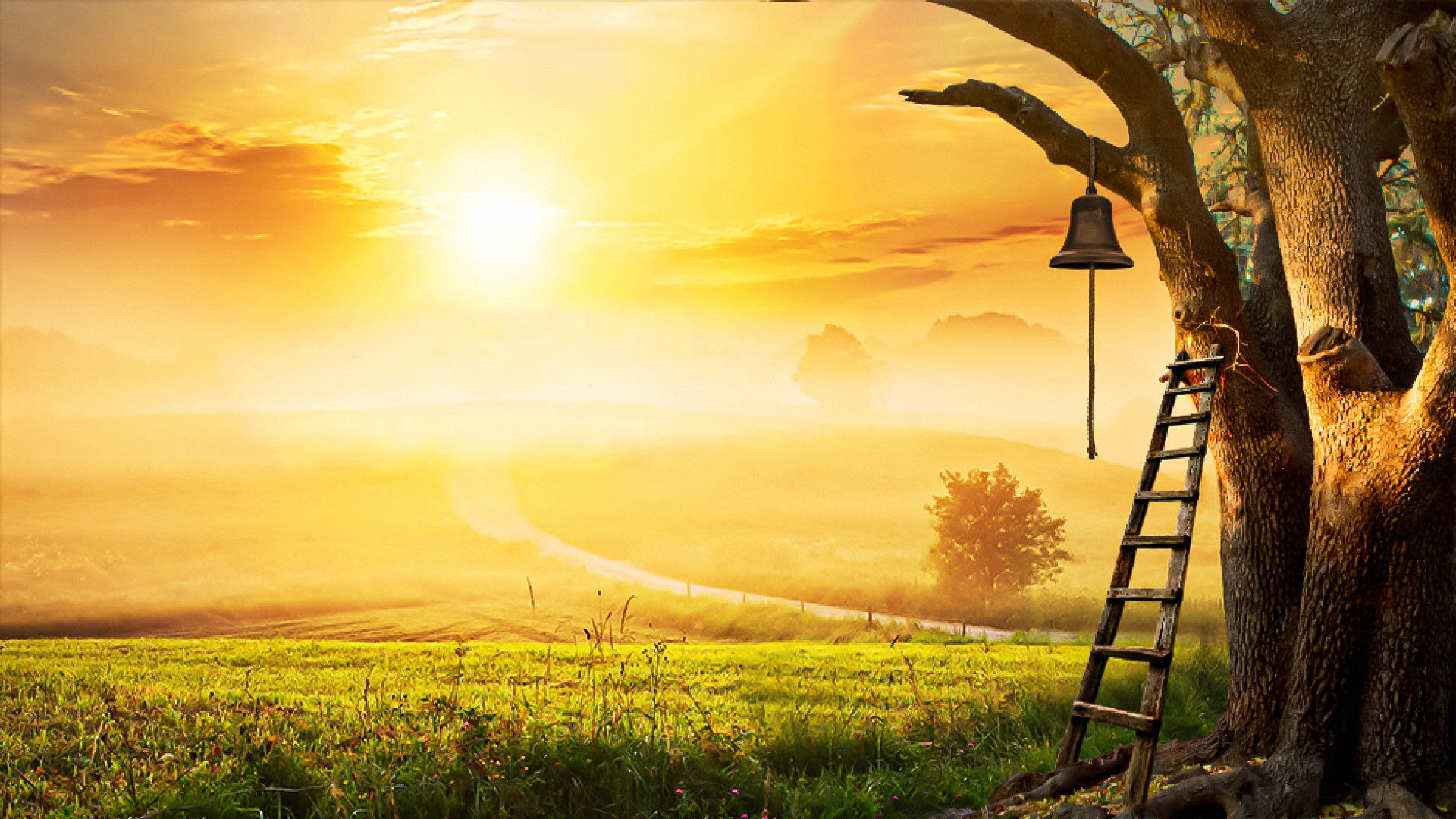 Backdrop for The Farm