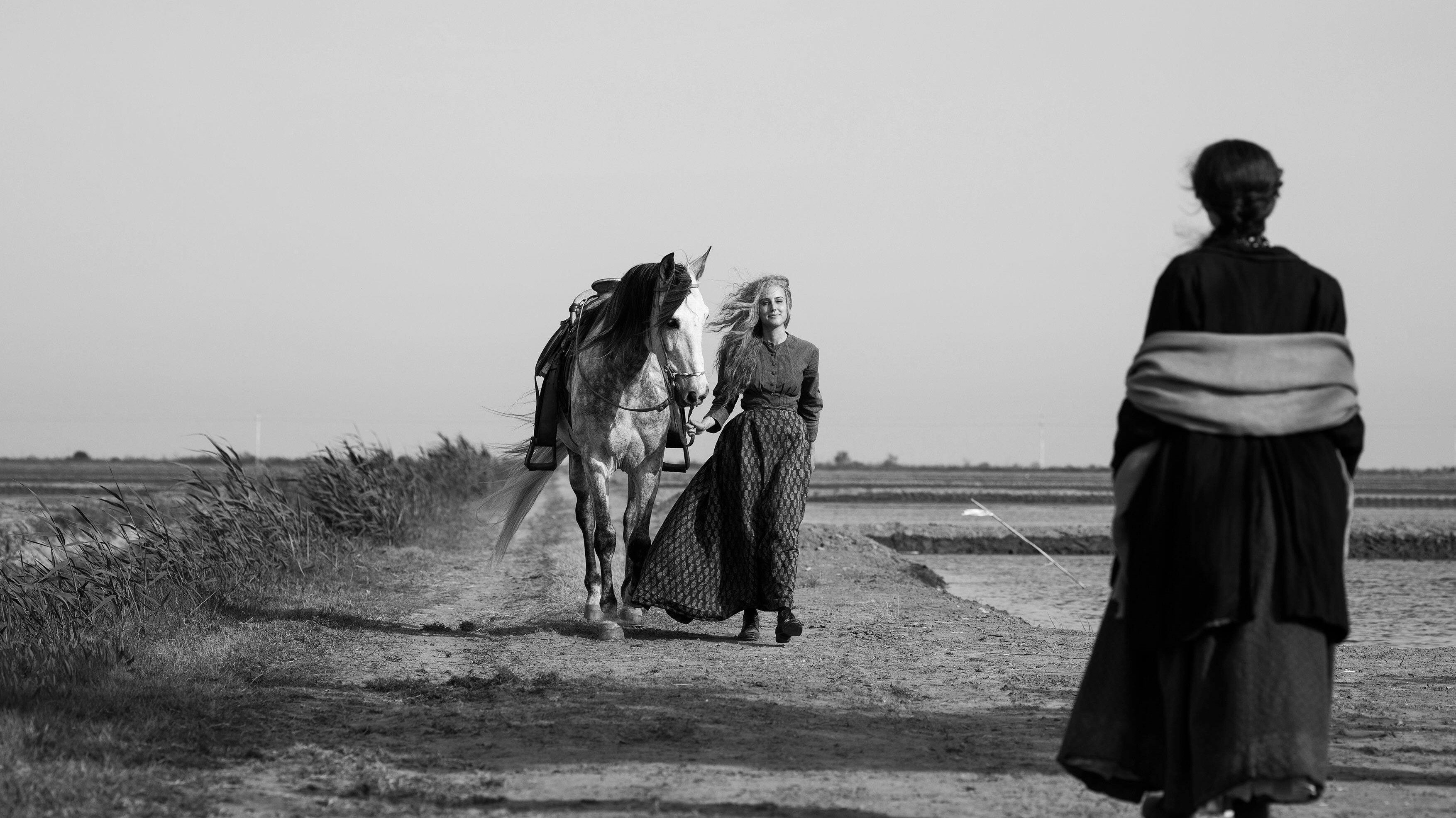 Backdrop for Elisa & Marcela