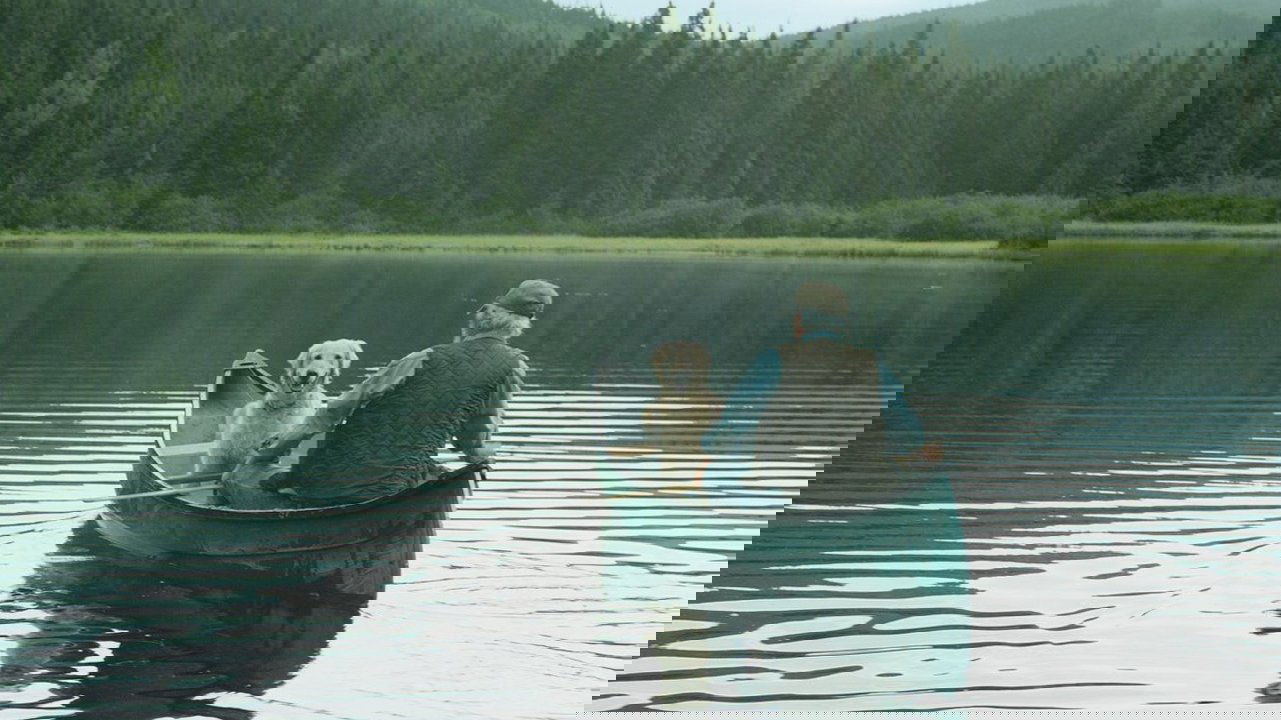 Backdrop for And the Birds Rained Down