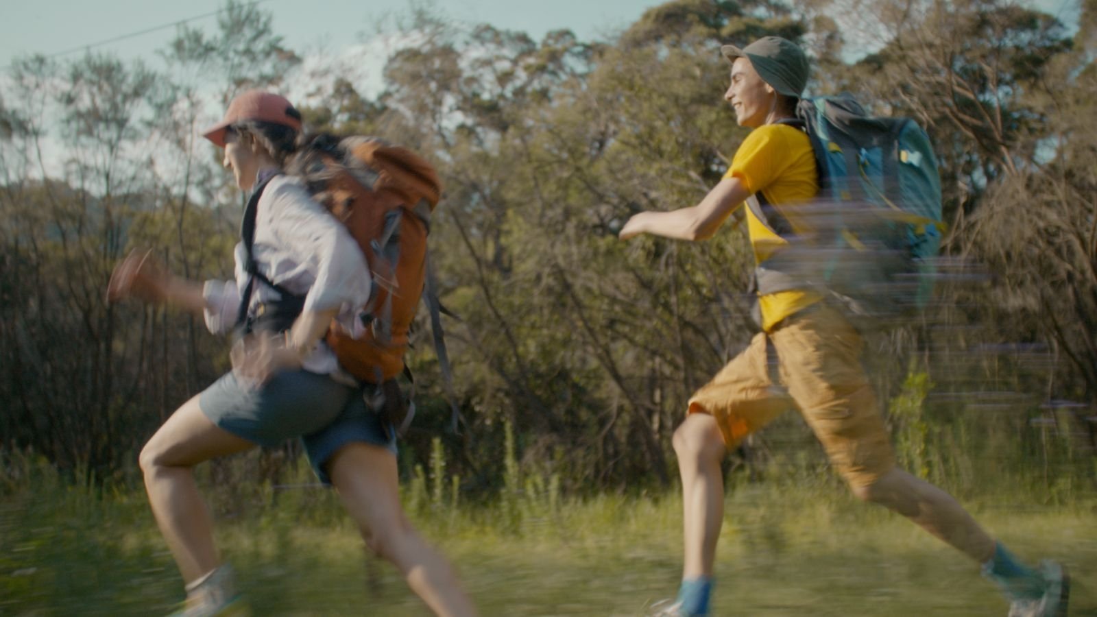 Backdrop for Under The Trees