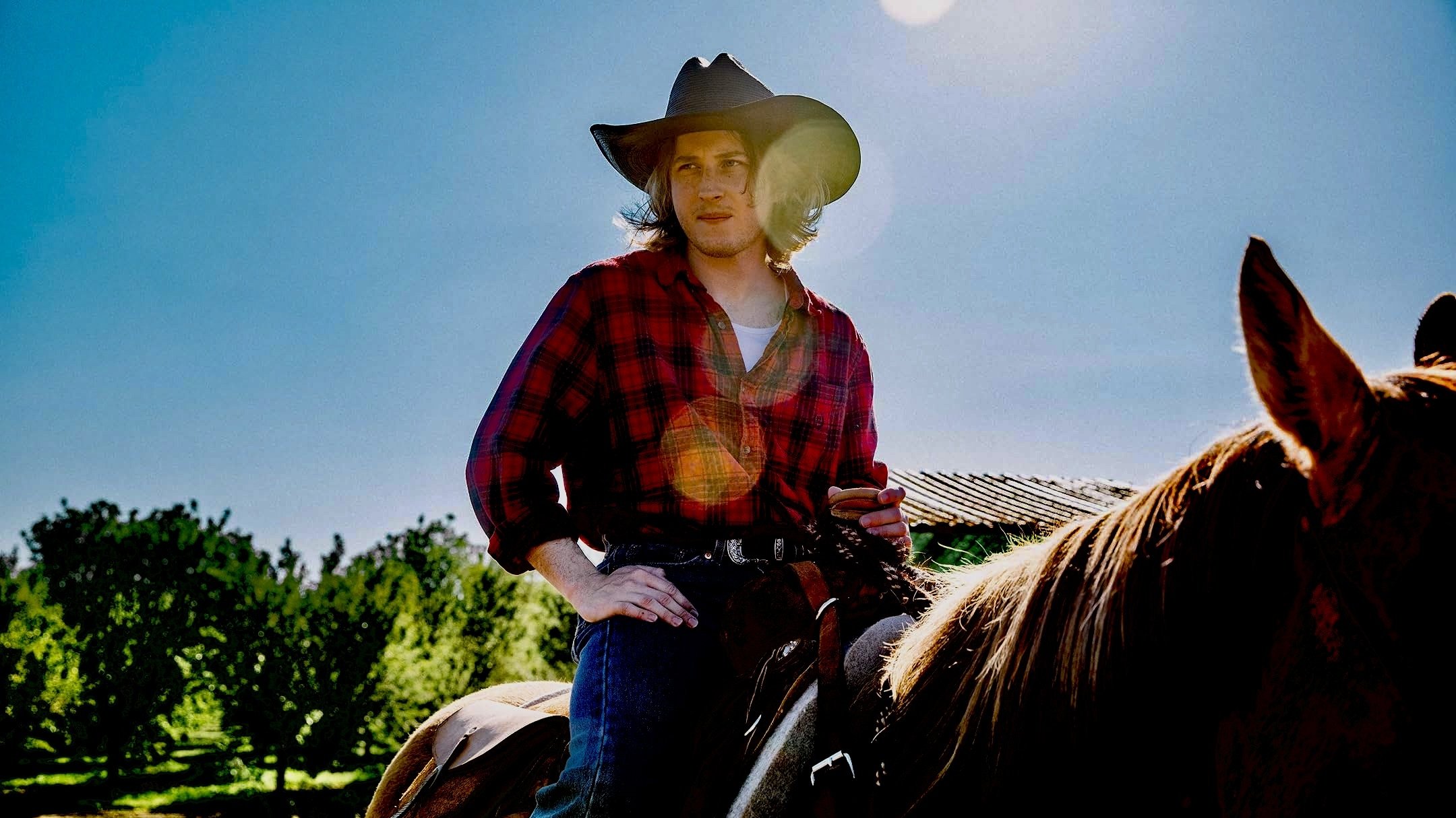 Backdrop for Grassland