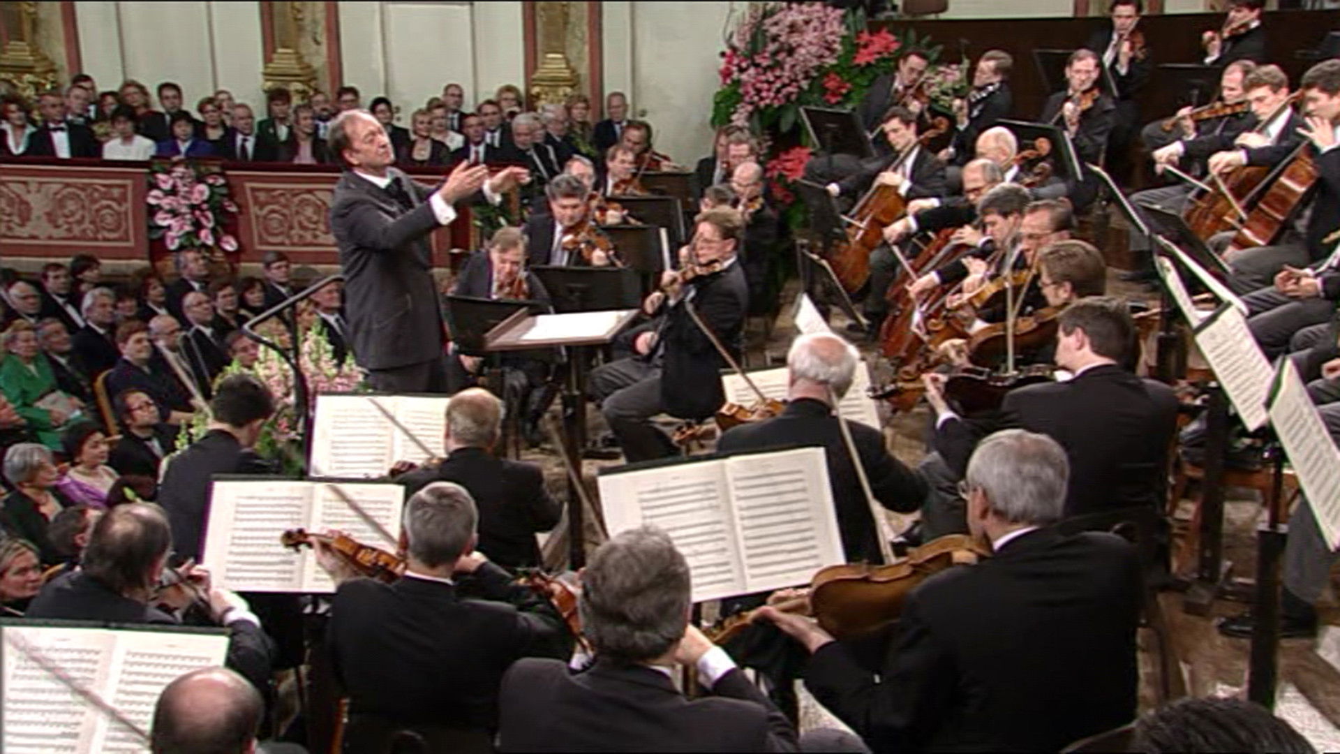 Backdrop for New Year's Concert: 2001 - Vienna Philharmonic
