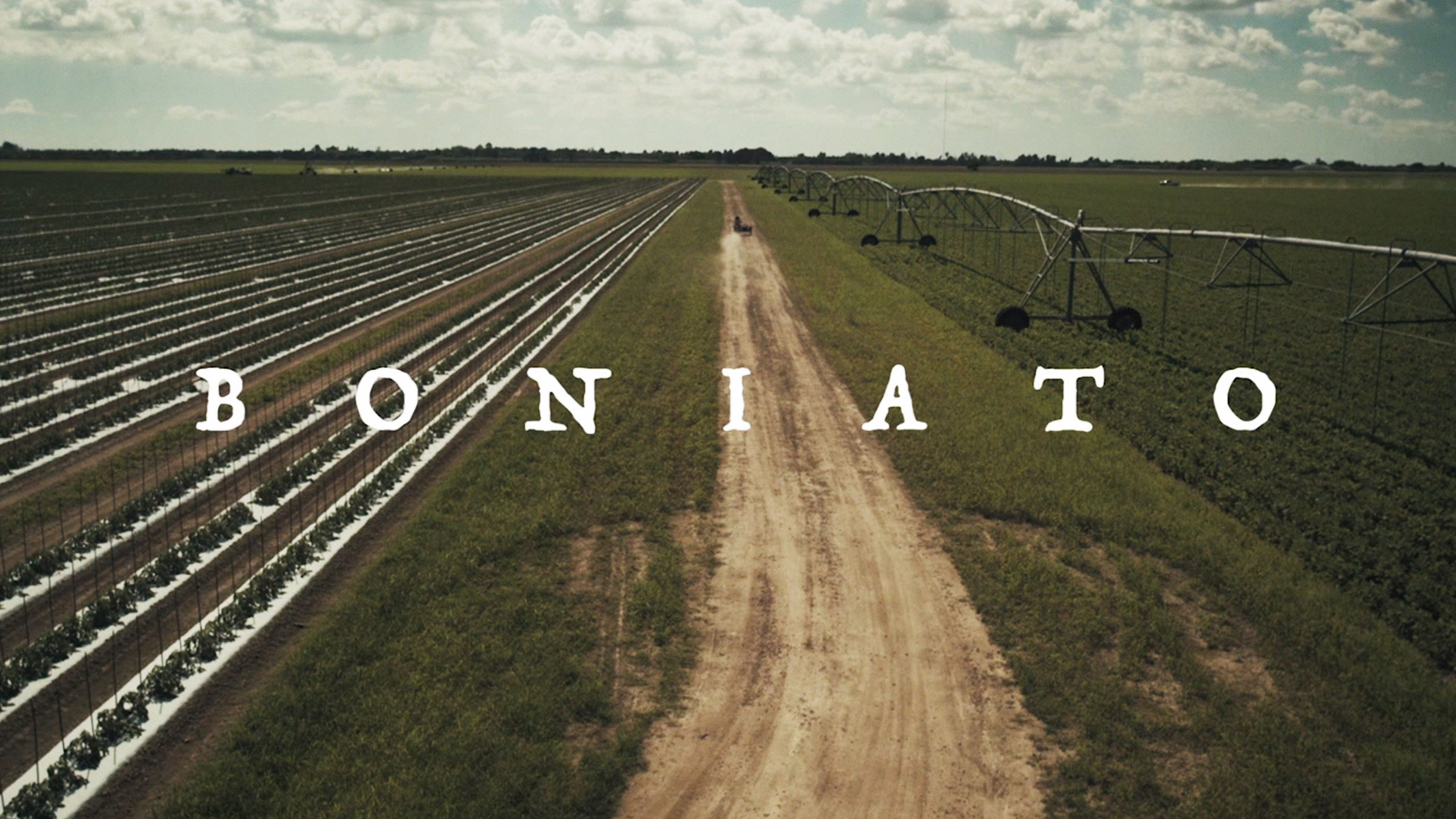 Backdrop for Boniato