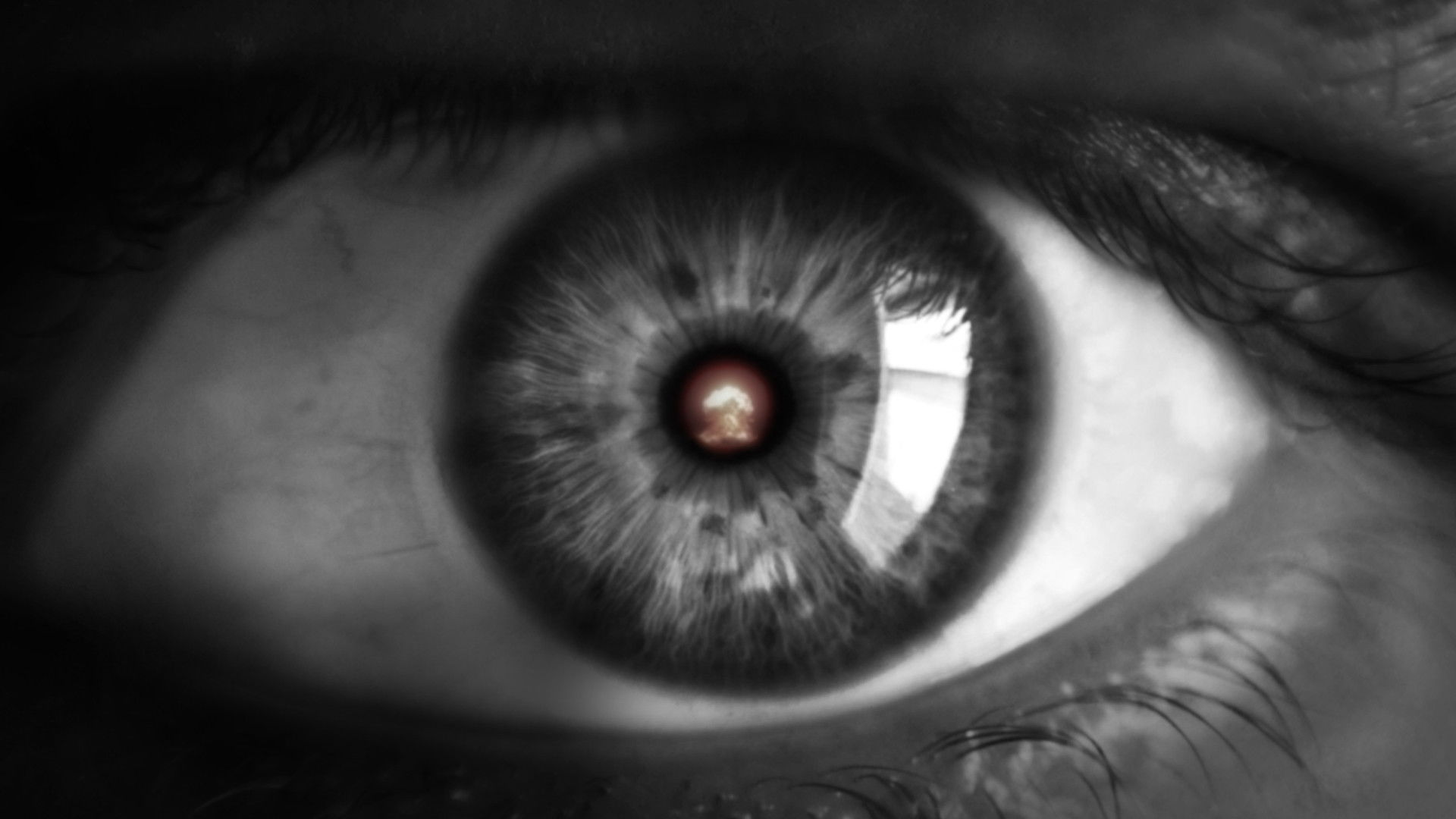 Backdrop for Unto Midnight