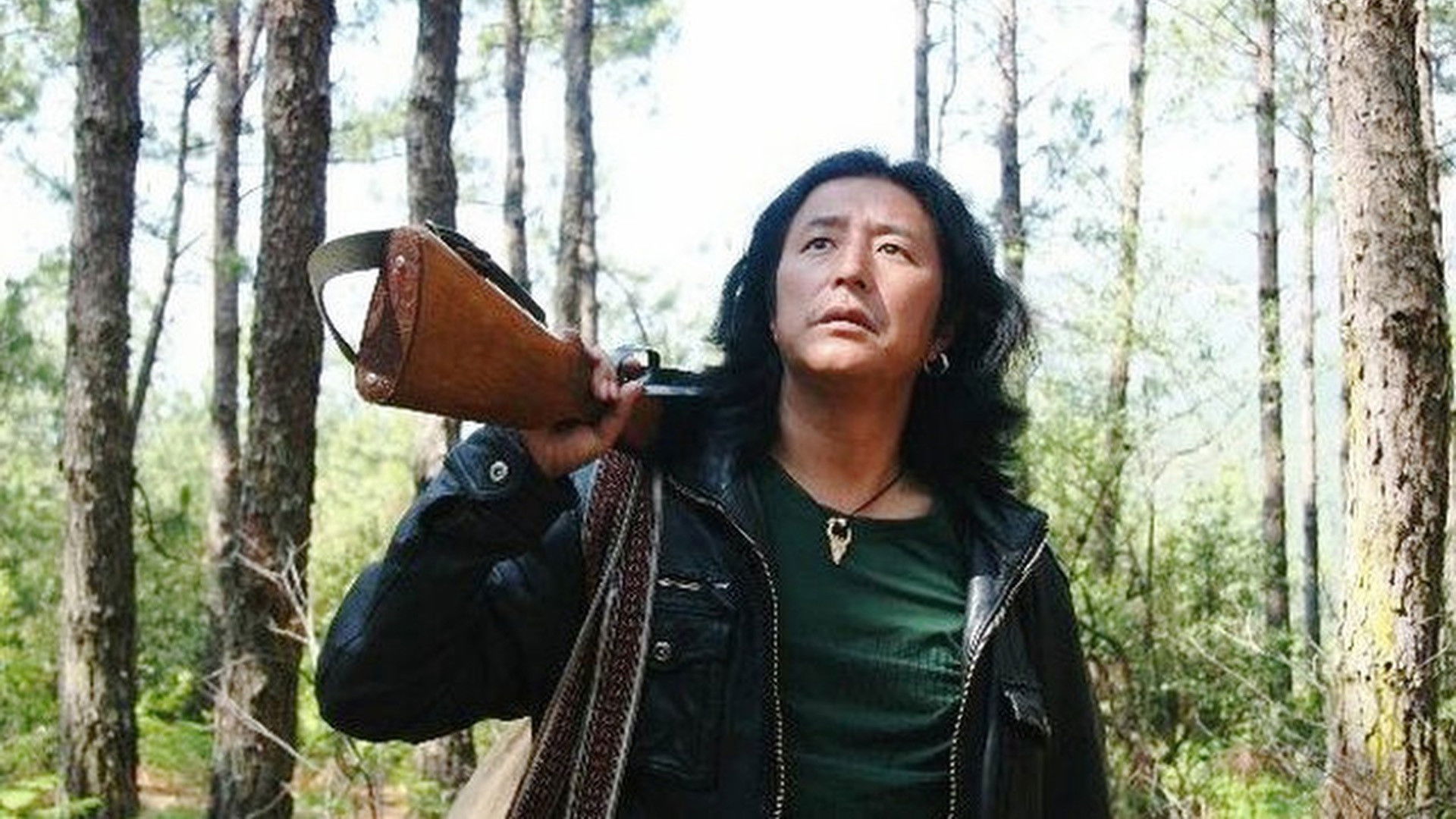 Backdrop for Guardians of the Mountain