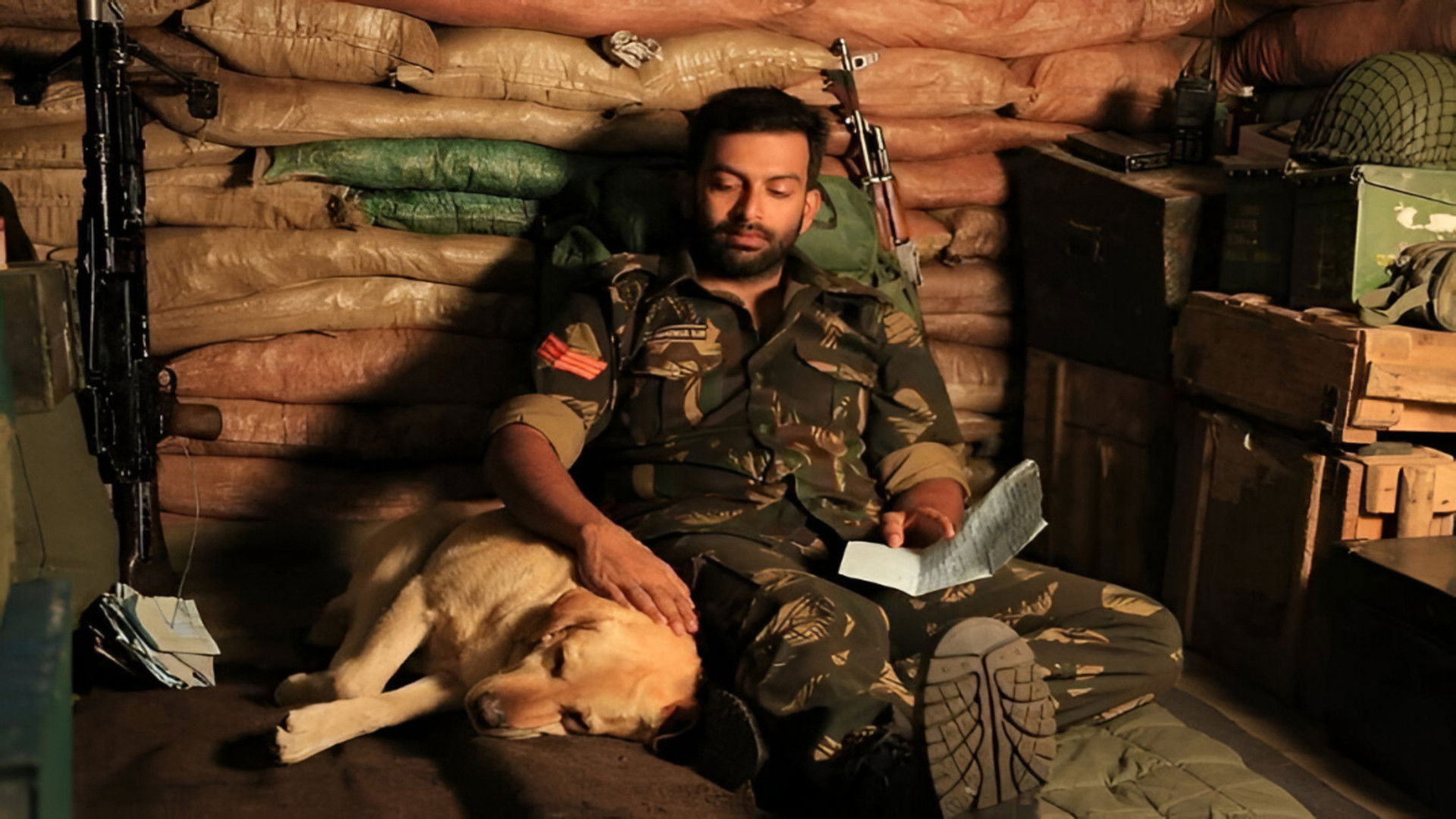 Backdrop for Picket 43