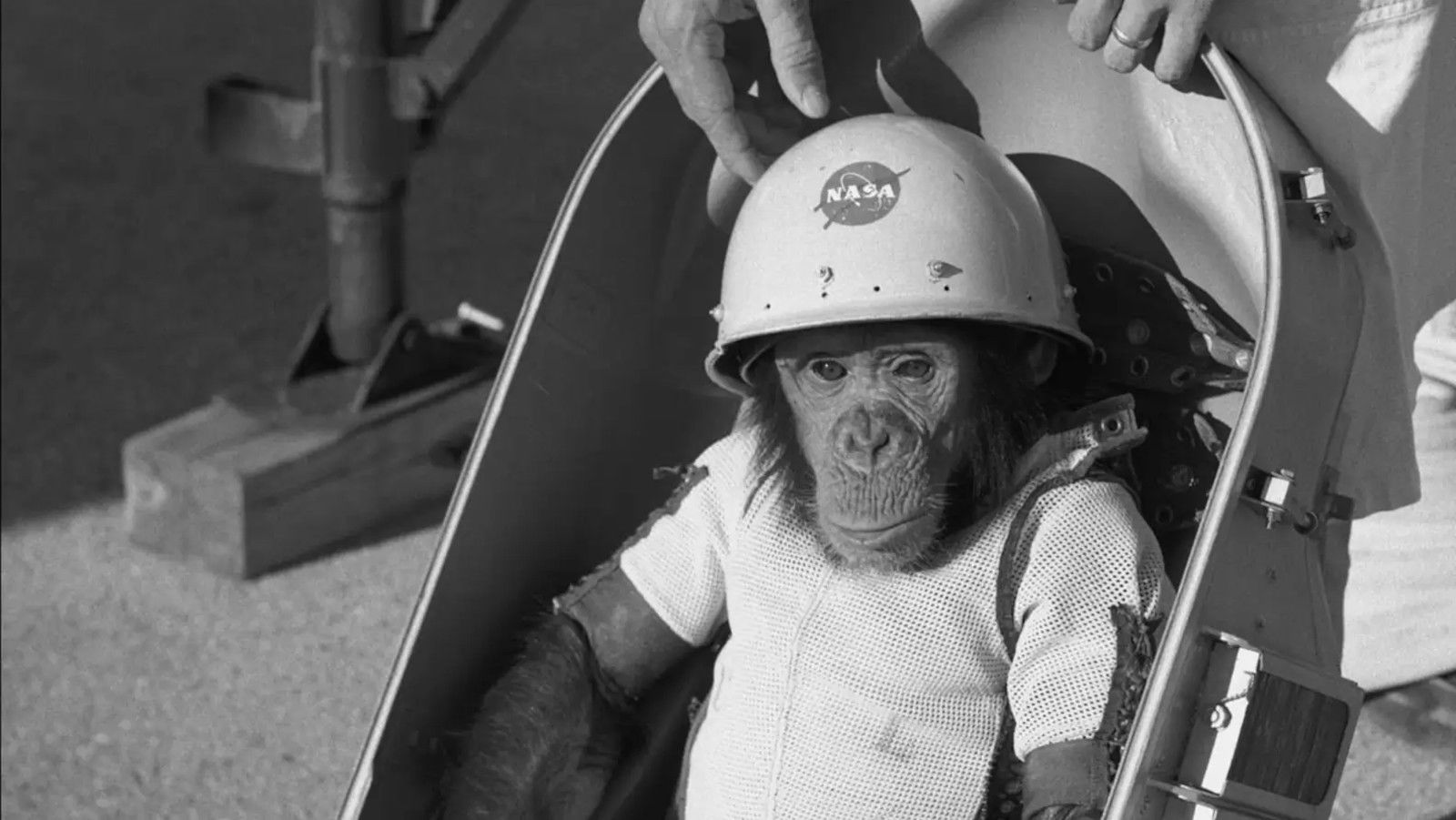 Backdrop for One Small Step: The Story of the Space Chimps