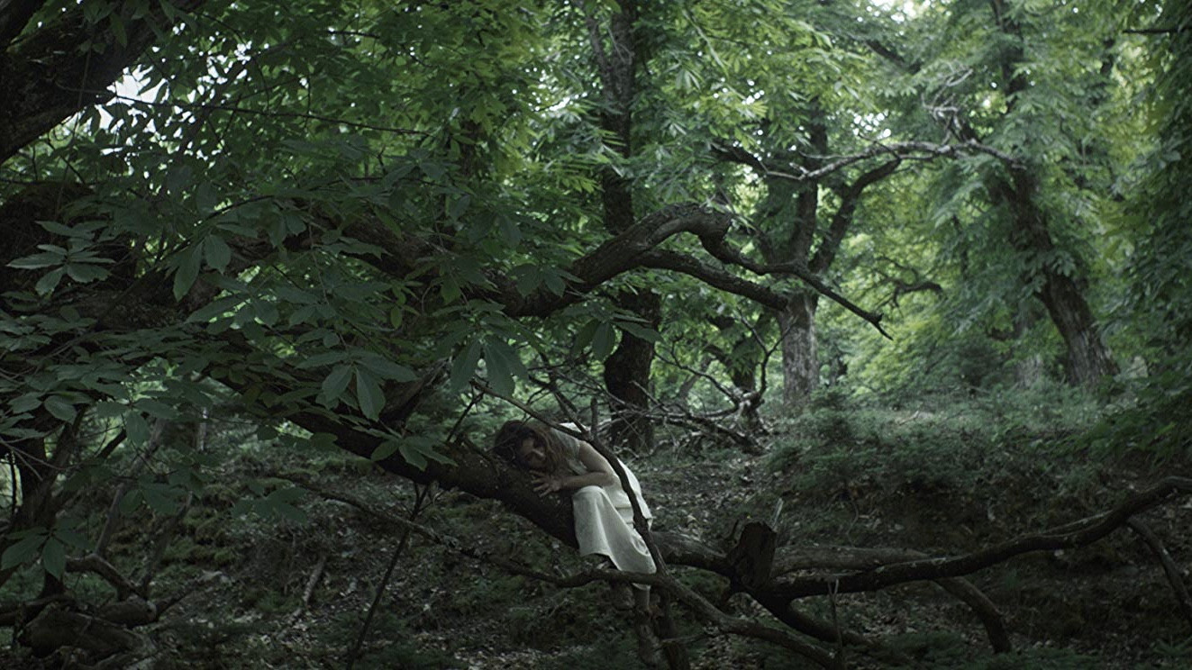 Backdrop for Entwined