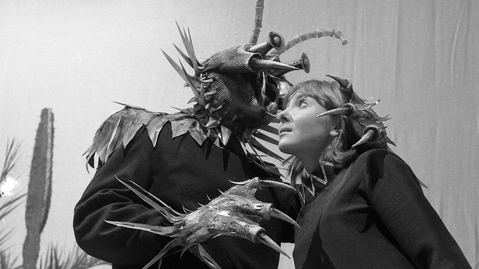 Backdrop for Doctor Who: The Rescue