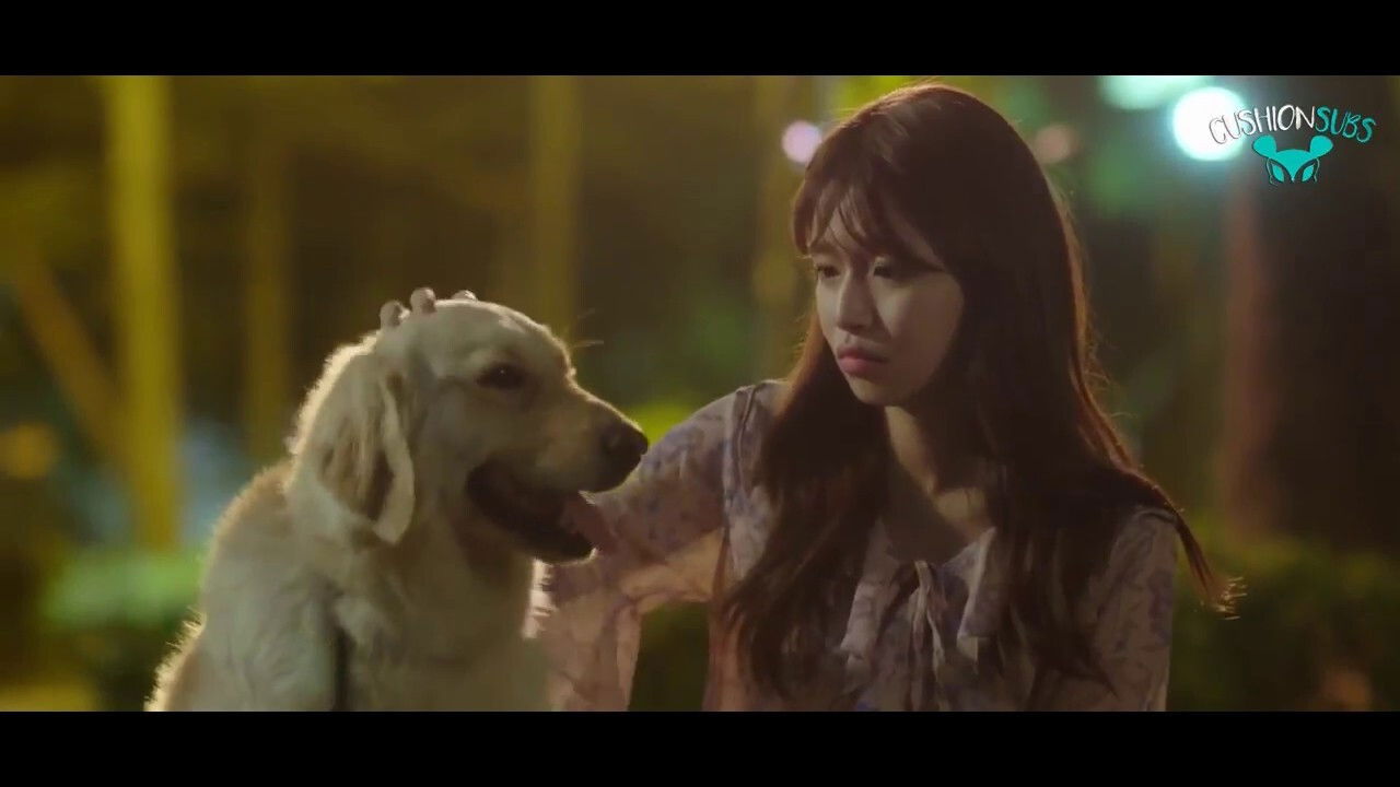 Backdrop for My Woofy Poofy Love