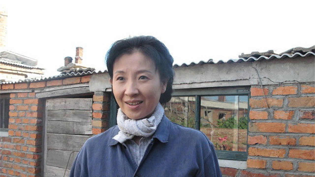 Backdrop for The Story of Lily