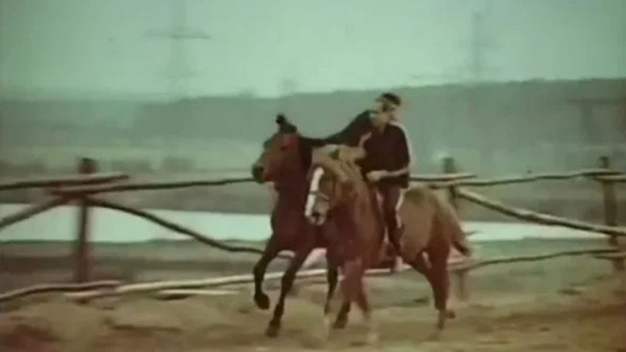 Backdrop for Life in the Saddle