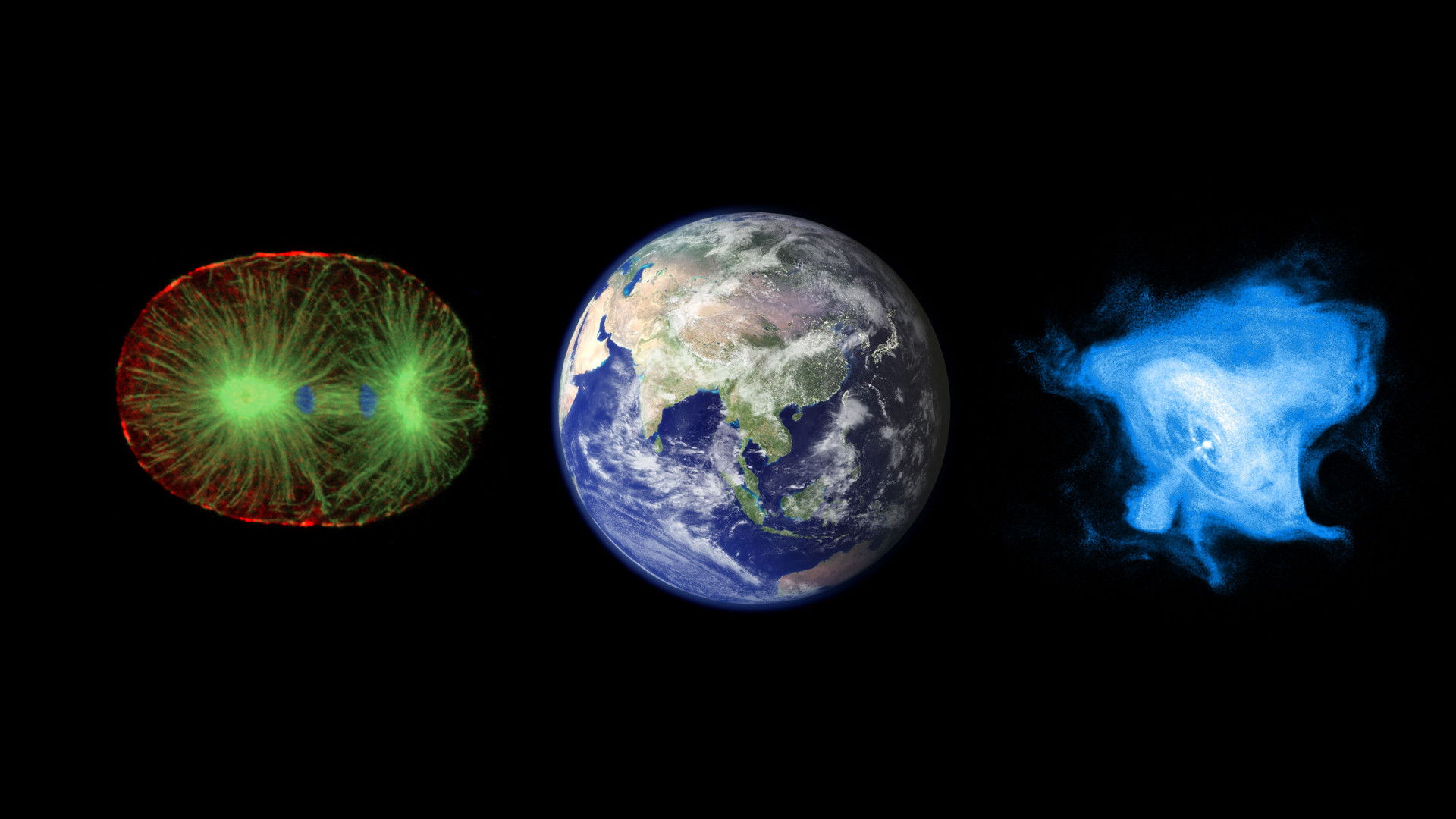 Backdrop for Beautiful Minds