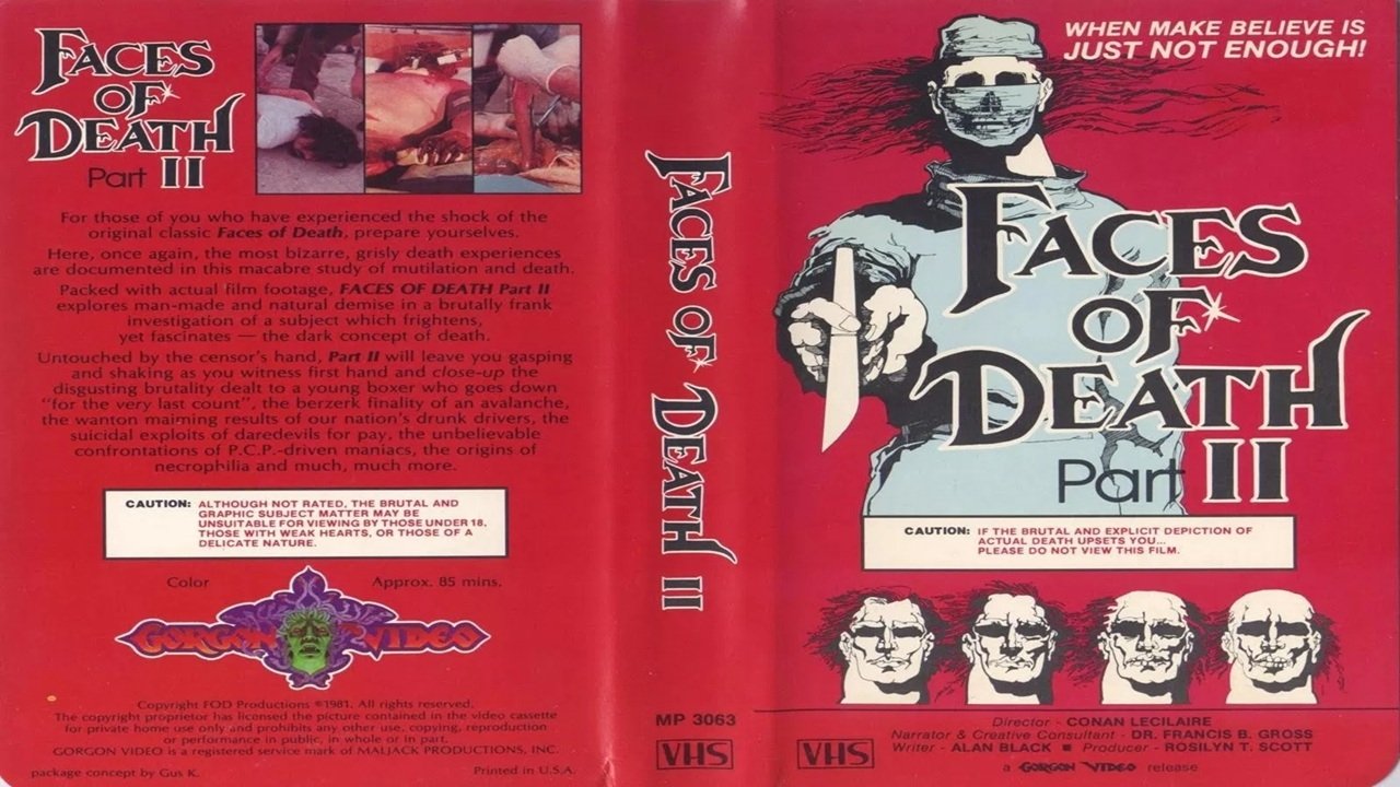 Backdrop for Faces of Death II
