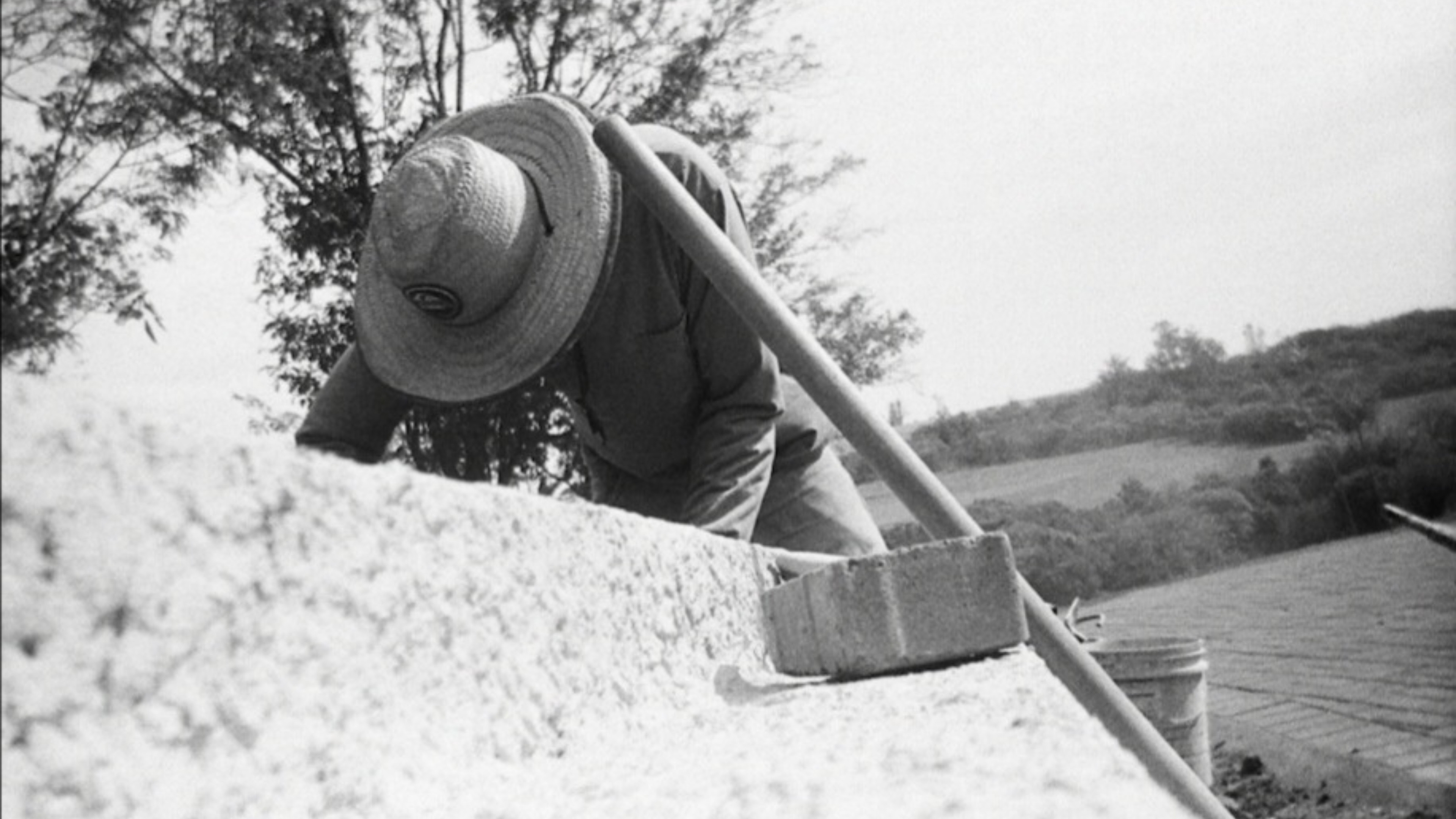 Backdrop for INTERVENTIONS AND INTERFERENCES