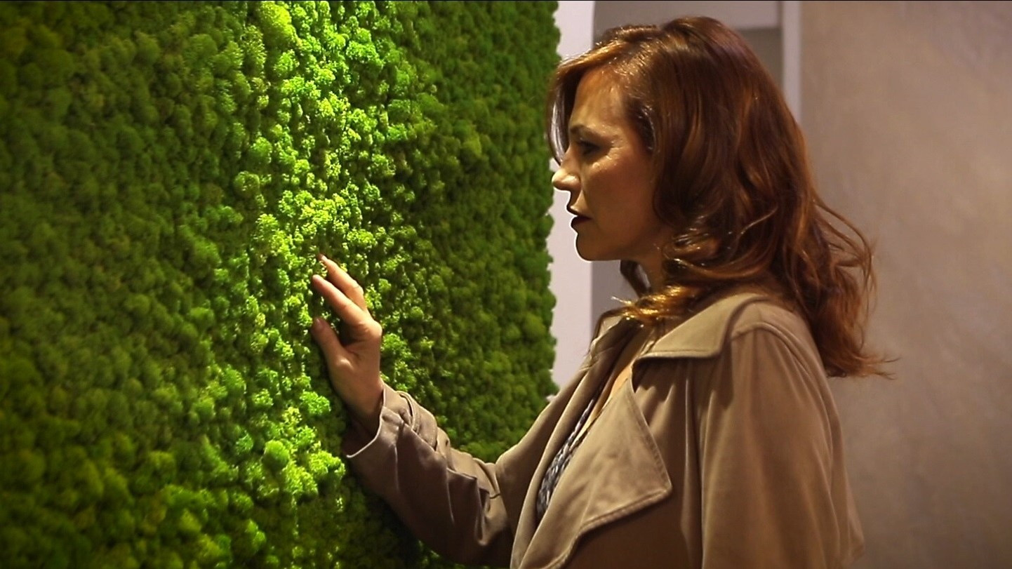 Backdrop for Laura's Hereafter