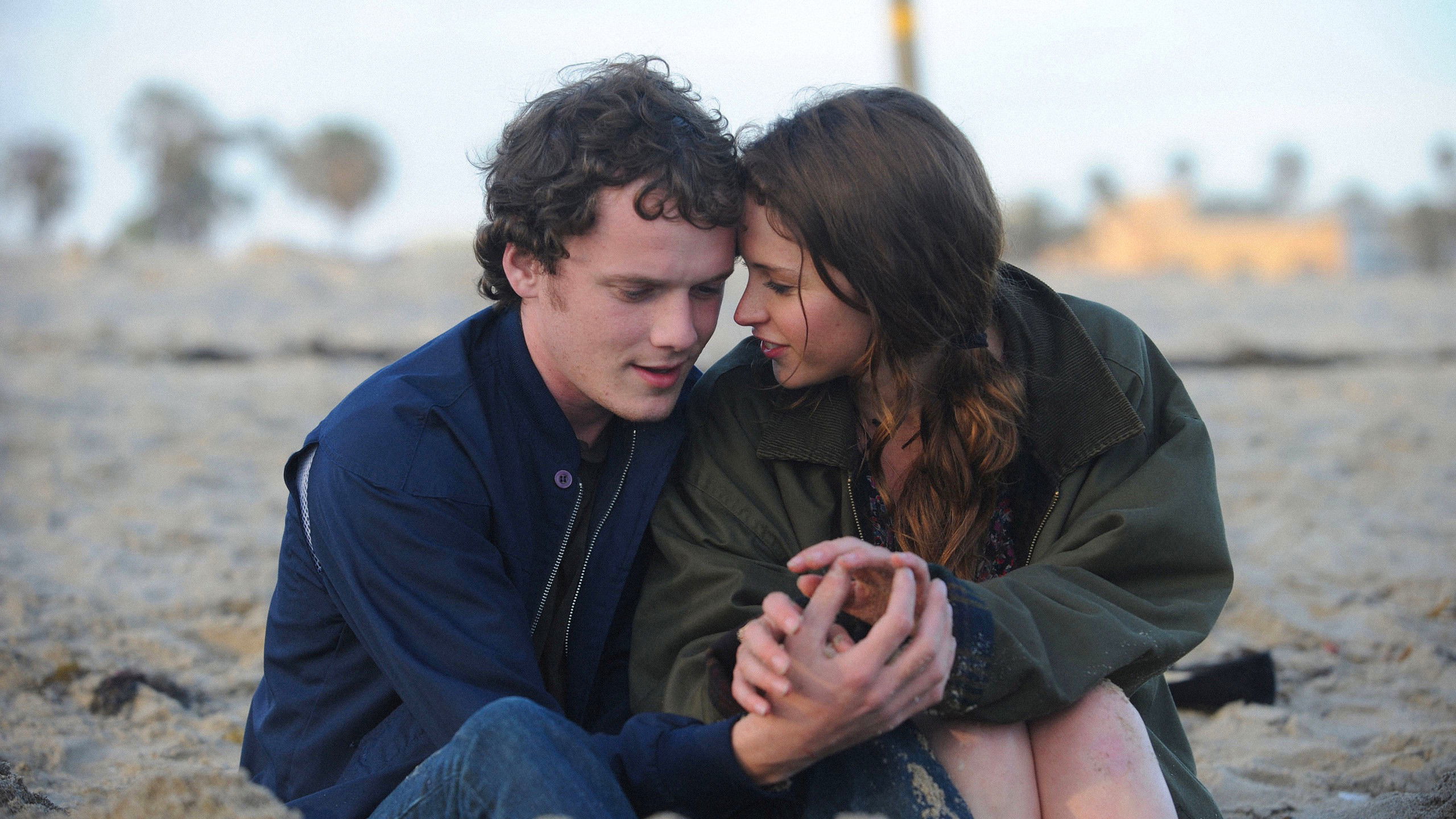 Backdrop for Like Crazy