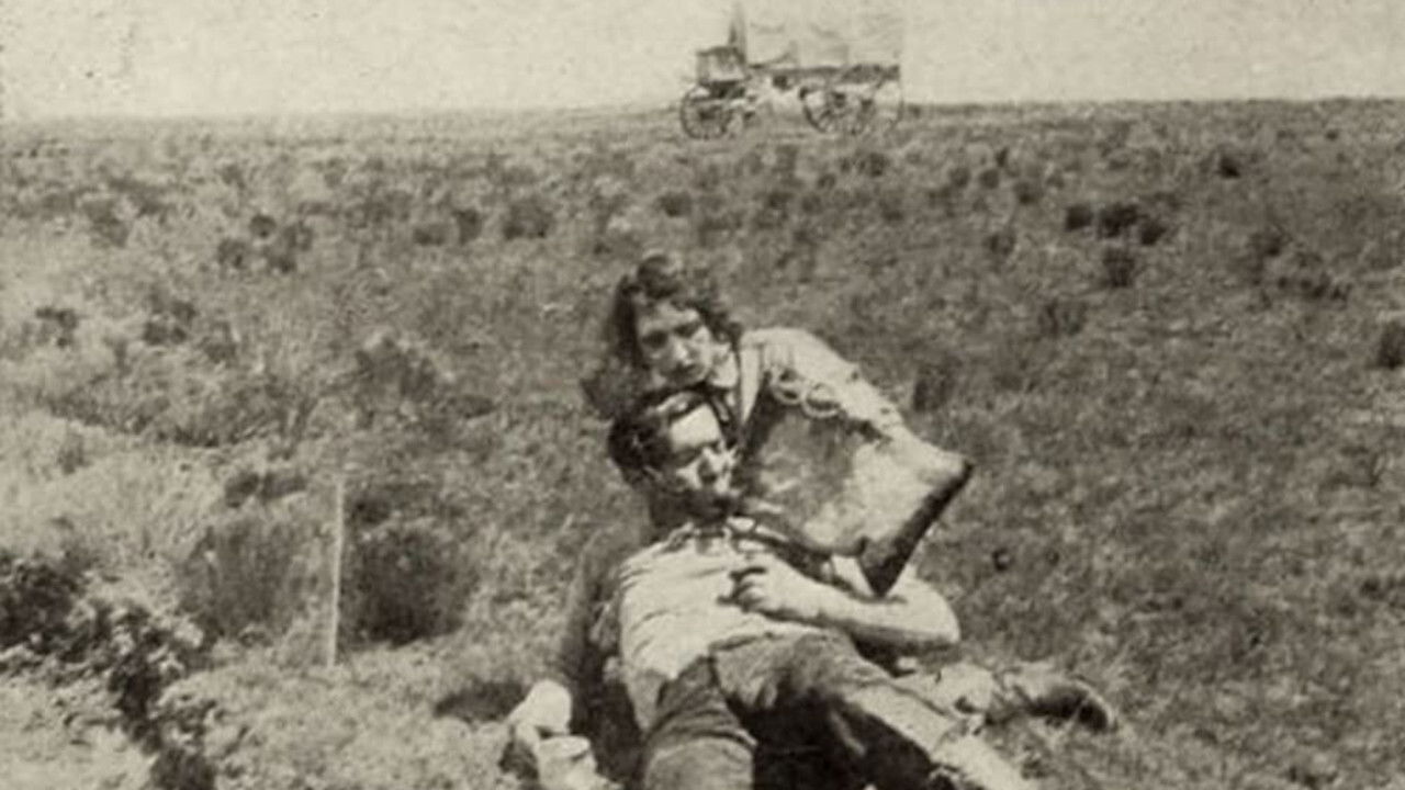 Backdrop for The Brave Deserve the Fair