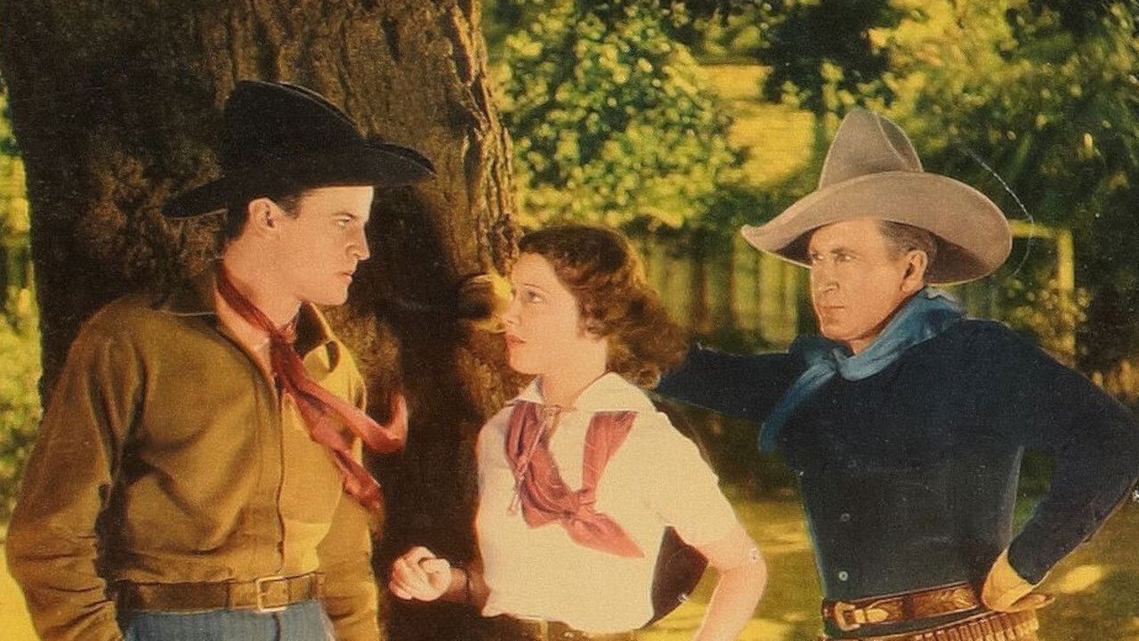 Backdrop for Square Shooter