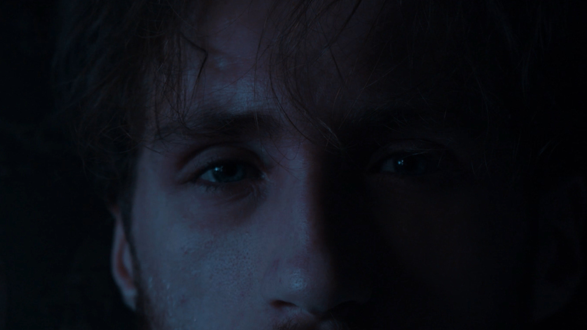 Backdrop for Concealment