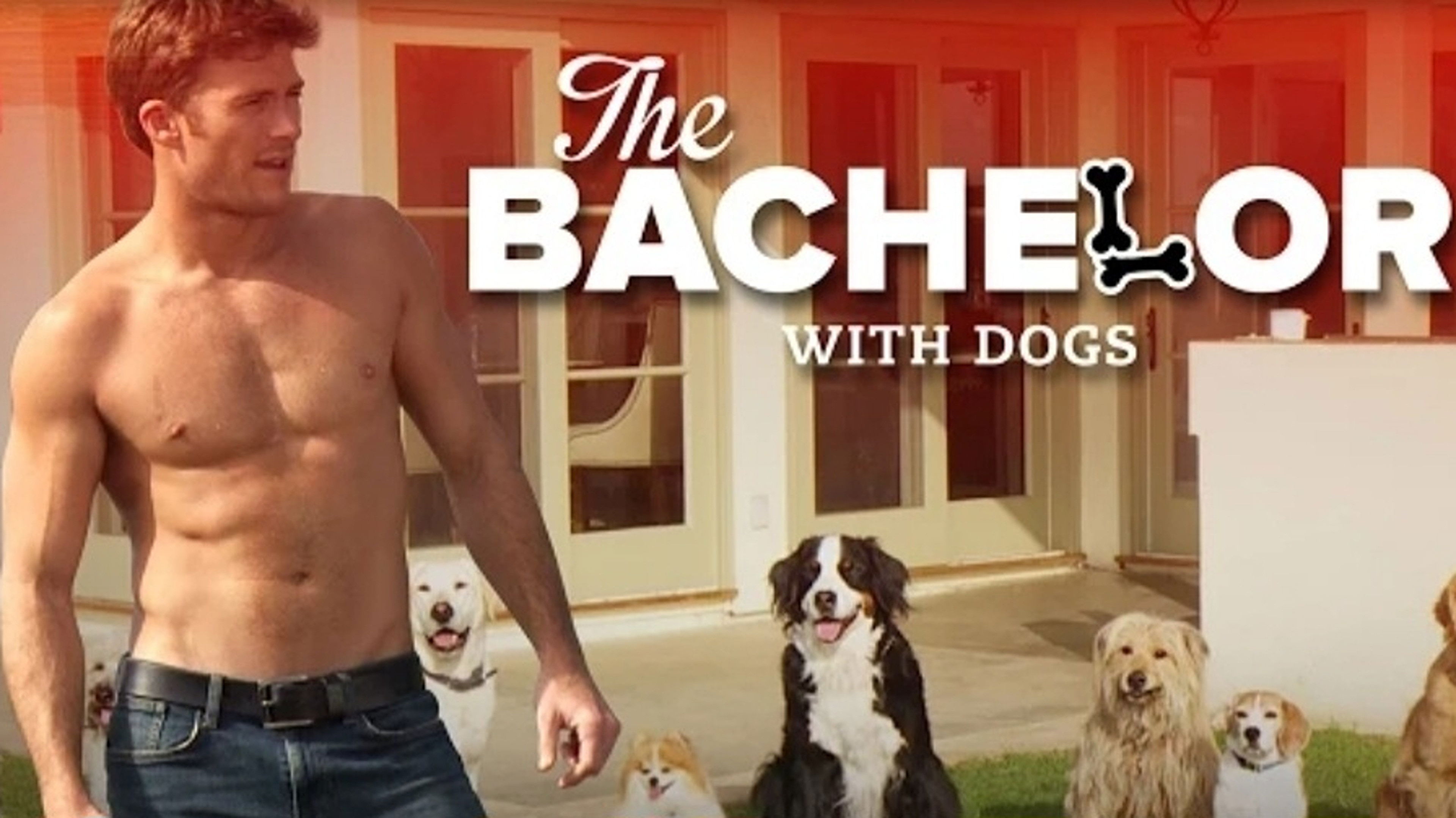 Backdrop for The Bachelor with Dogs and Scott Eastwood