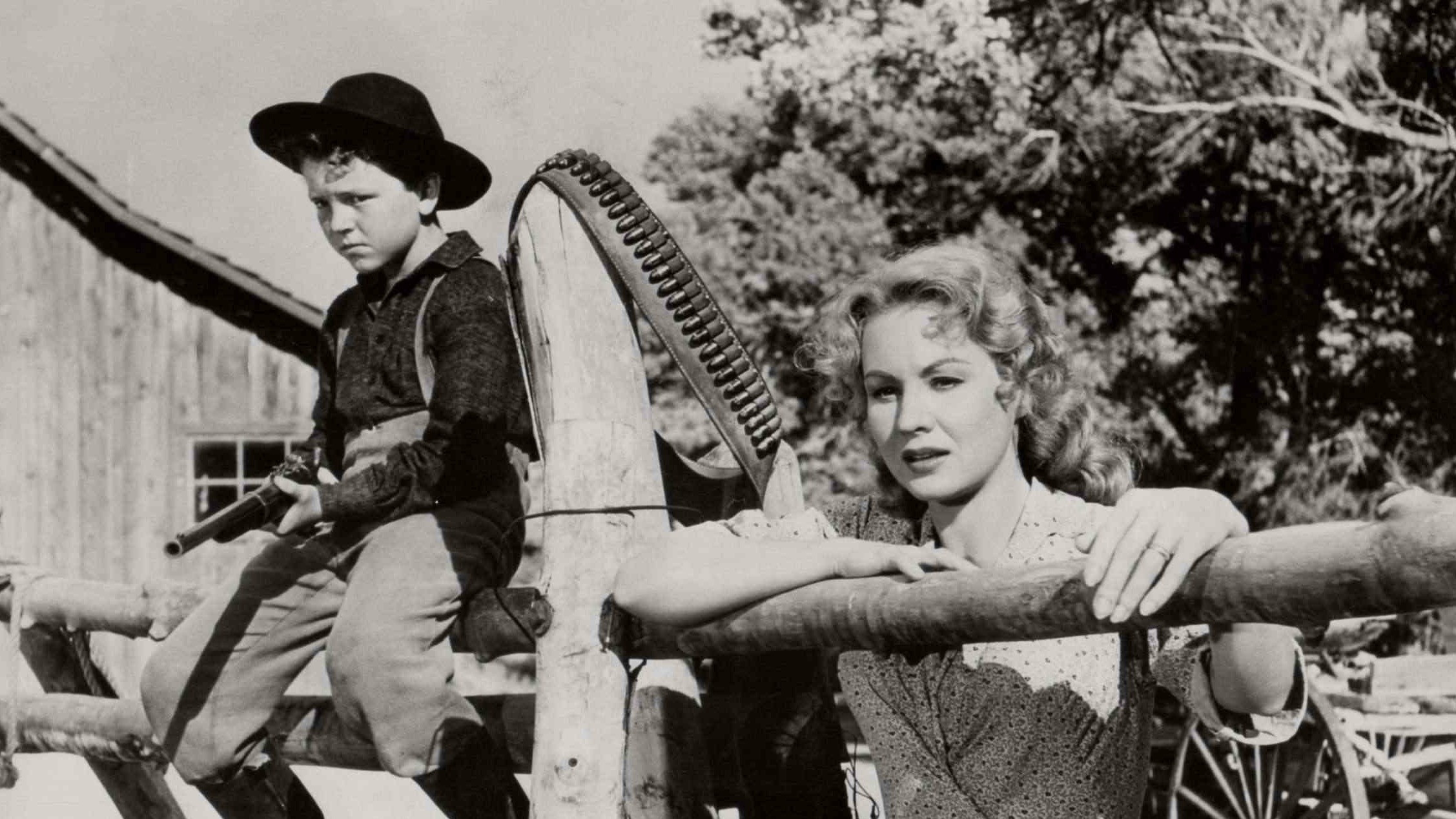 Backdrop for Fort Dobbs