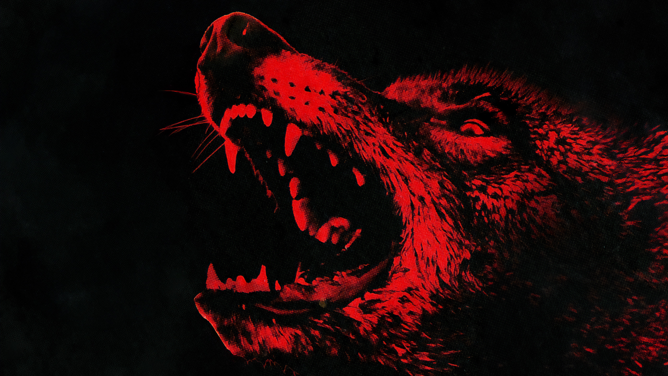 Backdrop for Coyotes