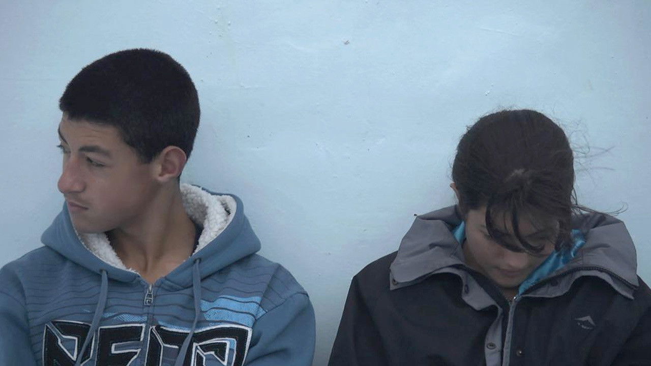 Backdrop for 37°4 S