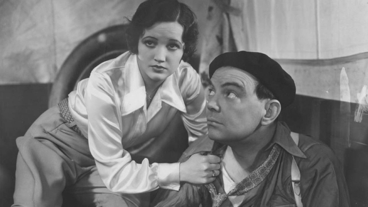 Backdrop for Flying Devils