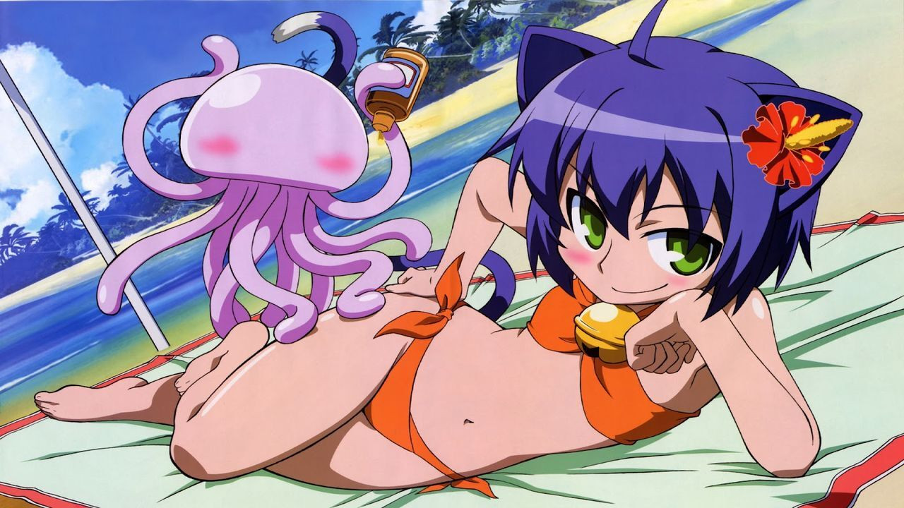 Backdrop for The Diary of a Crazed Family