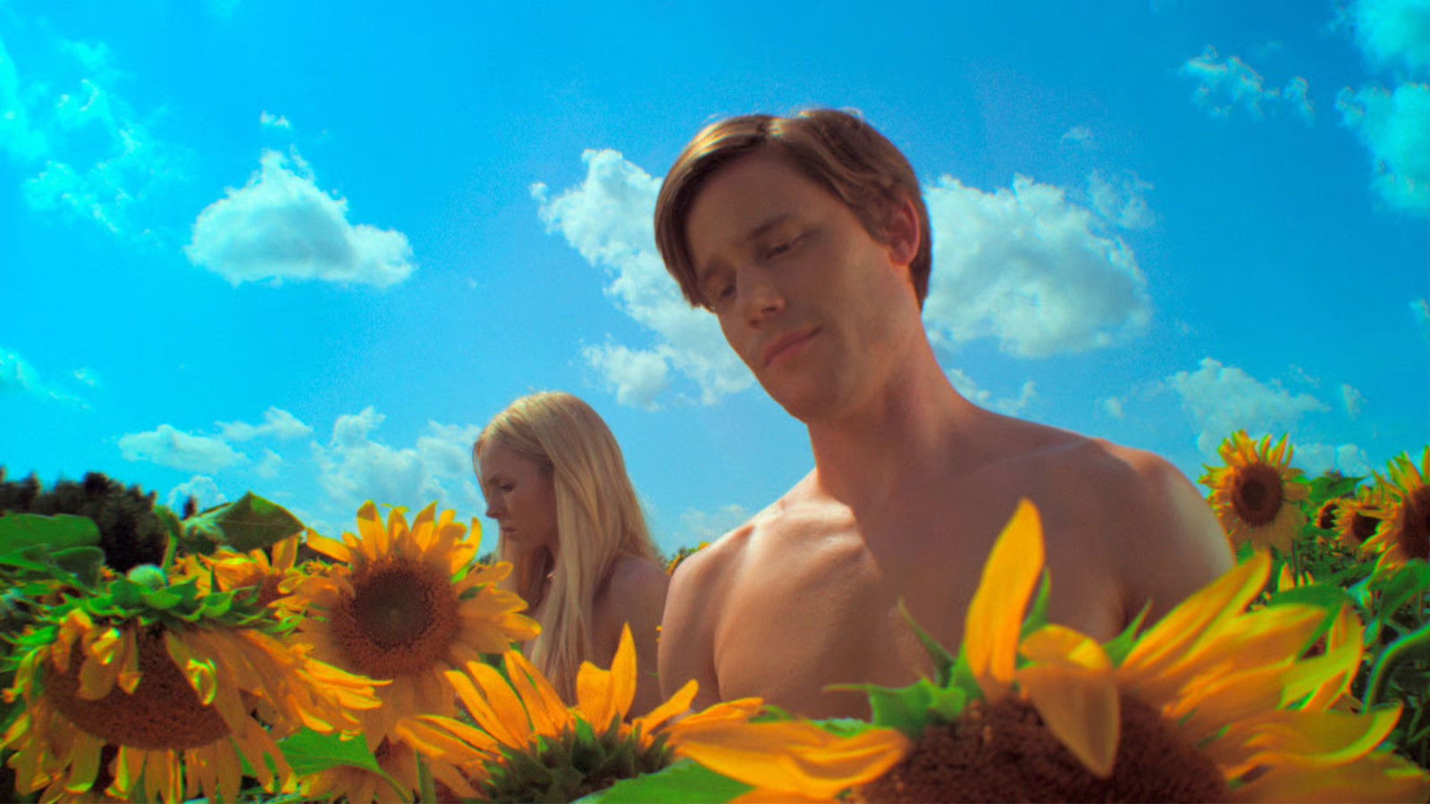 Backdrop for Go in the Wilderness