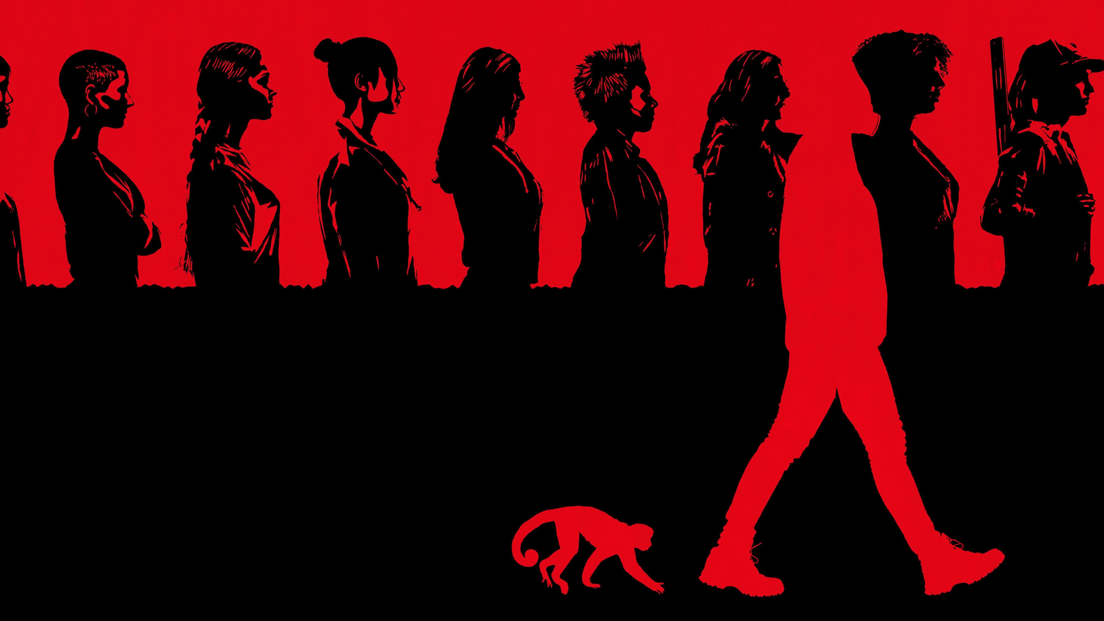 Backdrop for Y: The Last Man