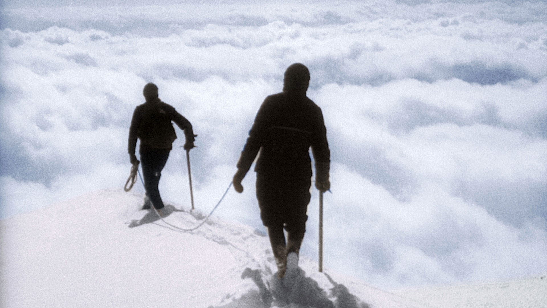 Backdrop for Les Champions d'Hitler